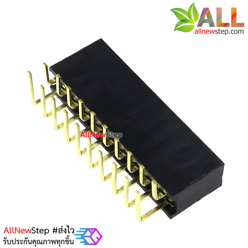 ขาก้างปลาตัวเมียแบบฉาก 2x10 ขา Double Row Hole Jack 2x10 PIN Header 2.54mm