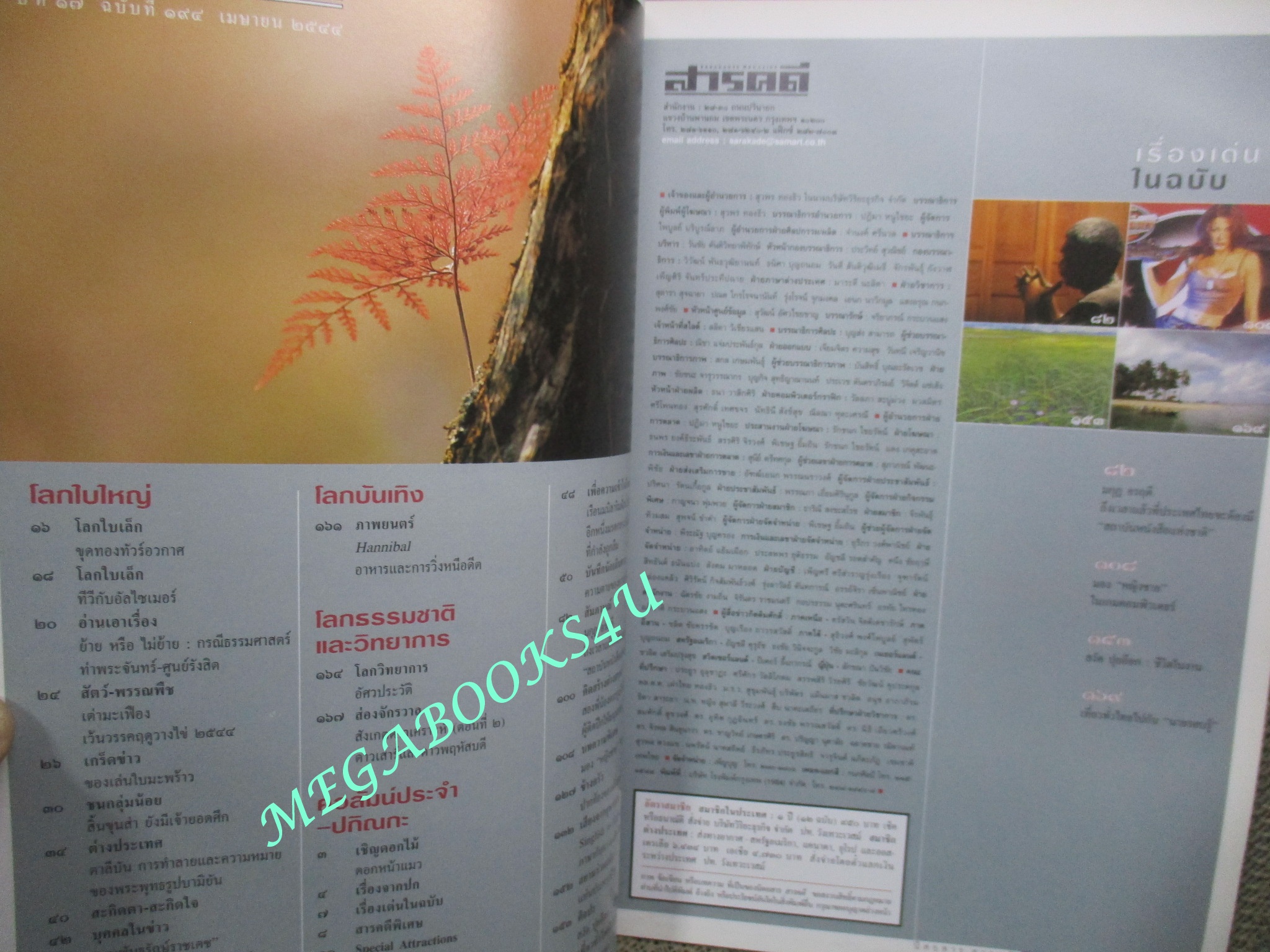 นิตยสารสารคดี ฉบับที่194 เมษายน 2544 เฟิน,ชนกว่าง,สำรับแขกคลองบางหลวง