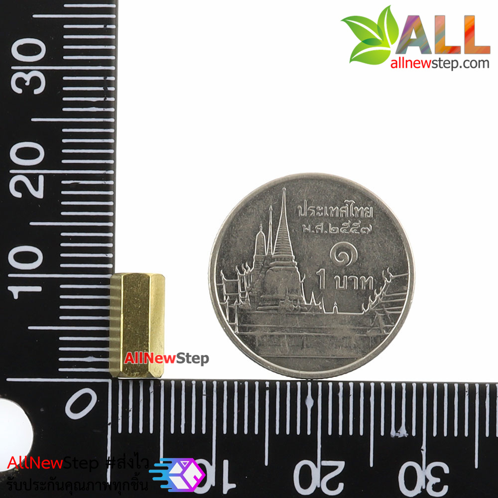 ชุดน็อต+สกรู M3 Pack Nut screw copper column 6+6 10+6 15+6 M3 nut 3x6 screw 6MM hollow 10MM hollow