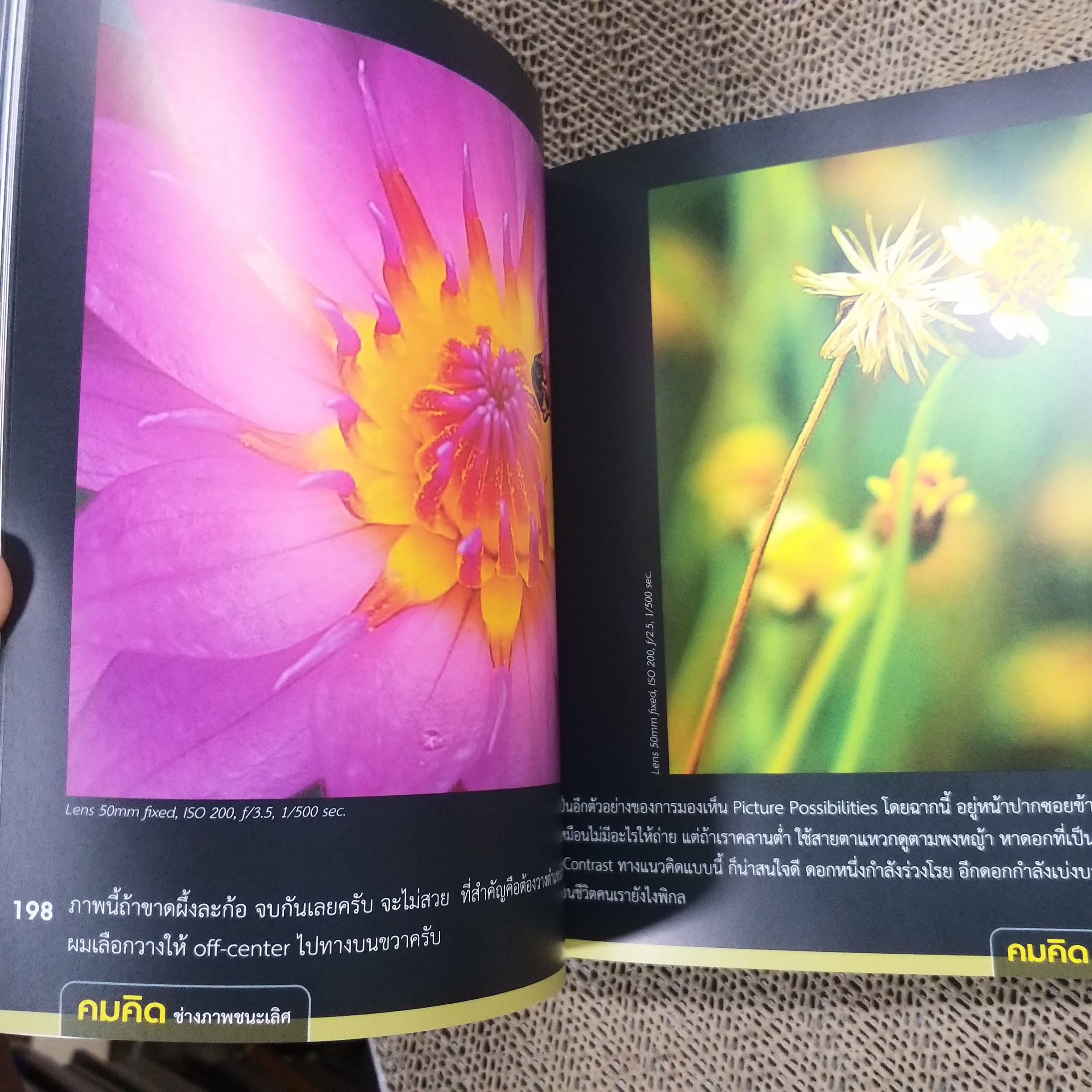 คมคิด ช่างภาพชนะเลิศ เผยเคล็ดลับความคิดก่อนถ่าย ผู้เขียน ชัยยศ จันทร์แย้ม/ สภาพดี 90 %