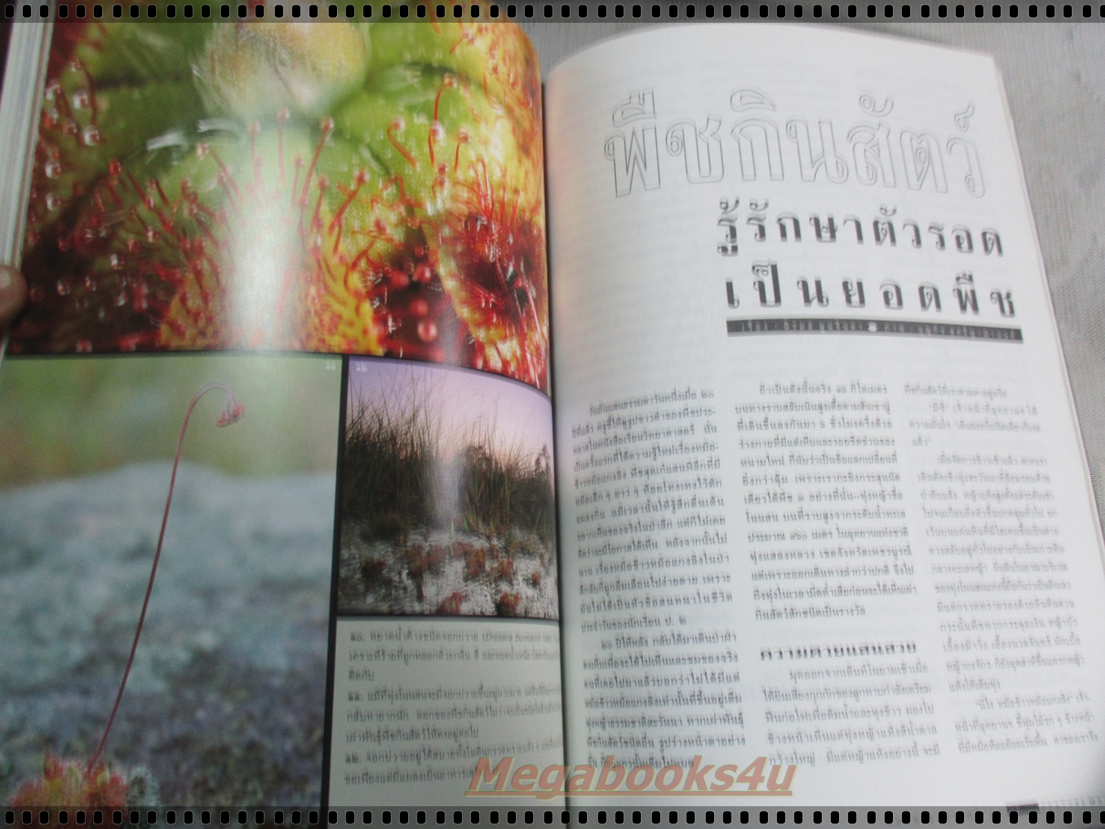 นิตยสารสารคดี ฉบับที่131 มกราคม 2539;พืชกินสัตว์,ฟอสซิลหอย,เว้,ชัยนาท