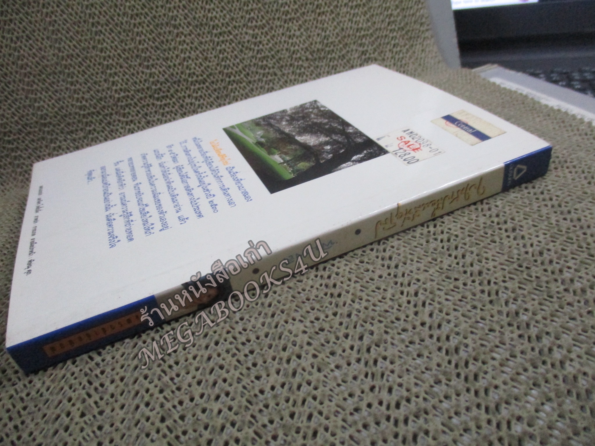 ใบไม้เปลี่ยนสีที่ยุโรป / พิมพ์สี / แพรว / รูปเล่มดี สันกระดาษเปื้อนฝุ่นเล็กน้อย (สารคดีท่องเที่ยว)