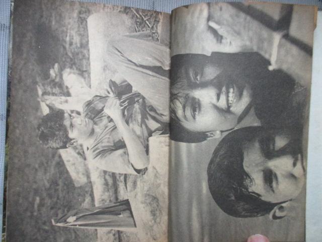 แผลเก่า , แสนแสบ ฉบับมีภาพประกอบจากภาพยนตร์ โดย ไม้เมืองเดิม