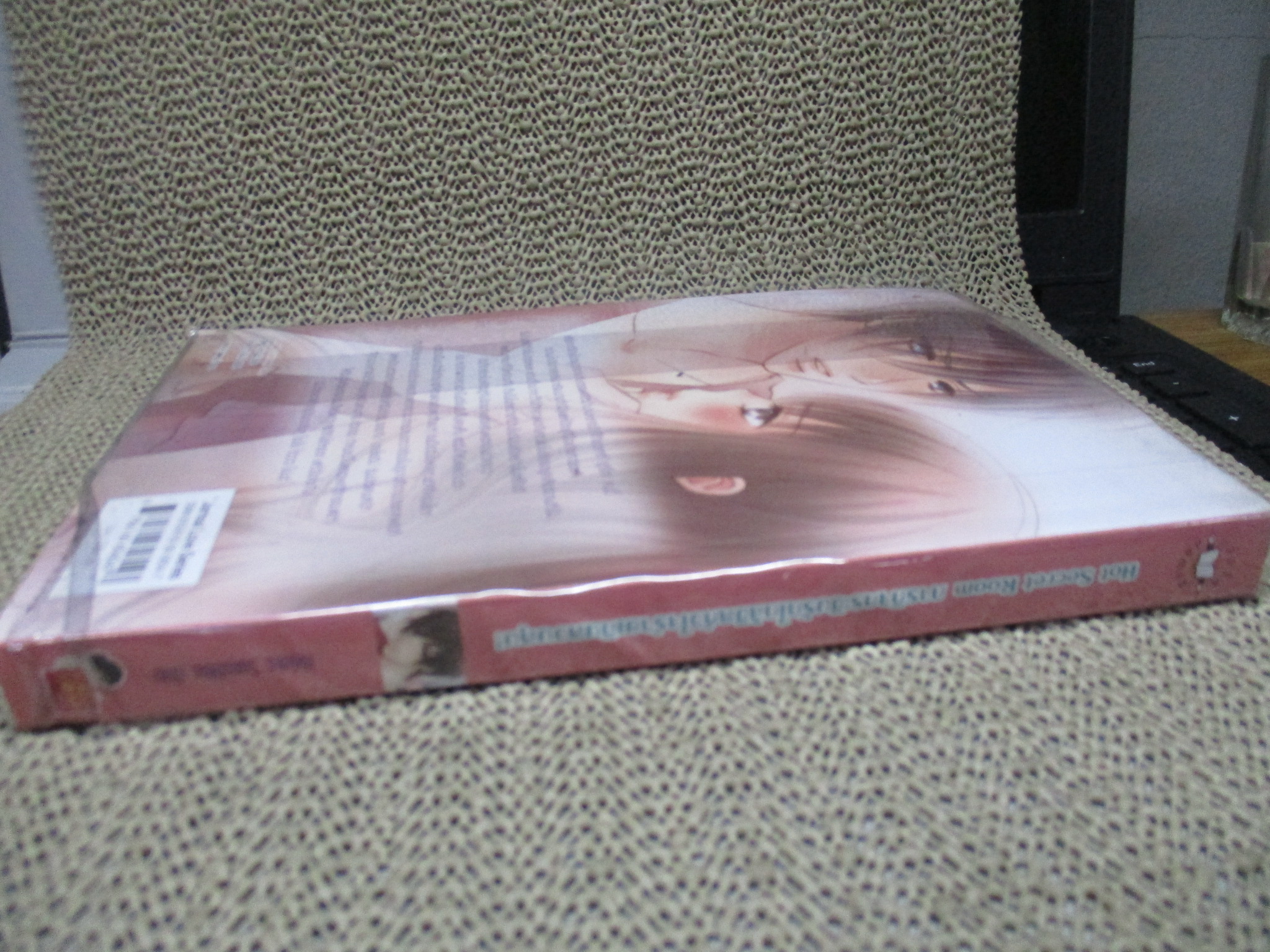 Hot Secret Room ภารกิจกระซิบรักใกล้ชิดหัวใจร้ายเกินควบคุม/Hideko_Sunshine/แจ่มใส (หนังสือบ้าน มือสอง) (สภาพ85-95%)