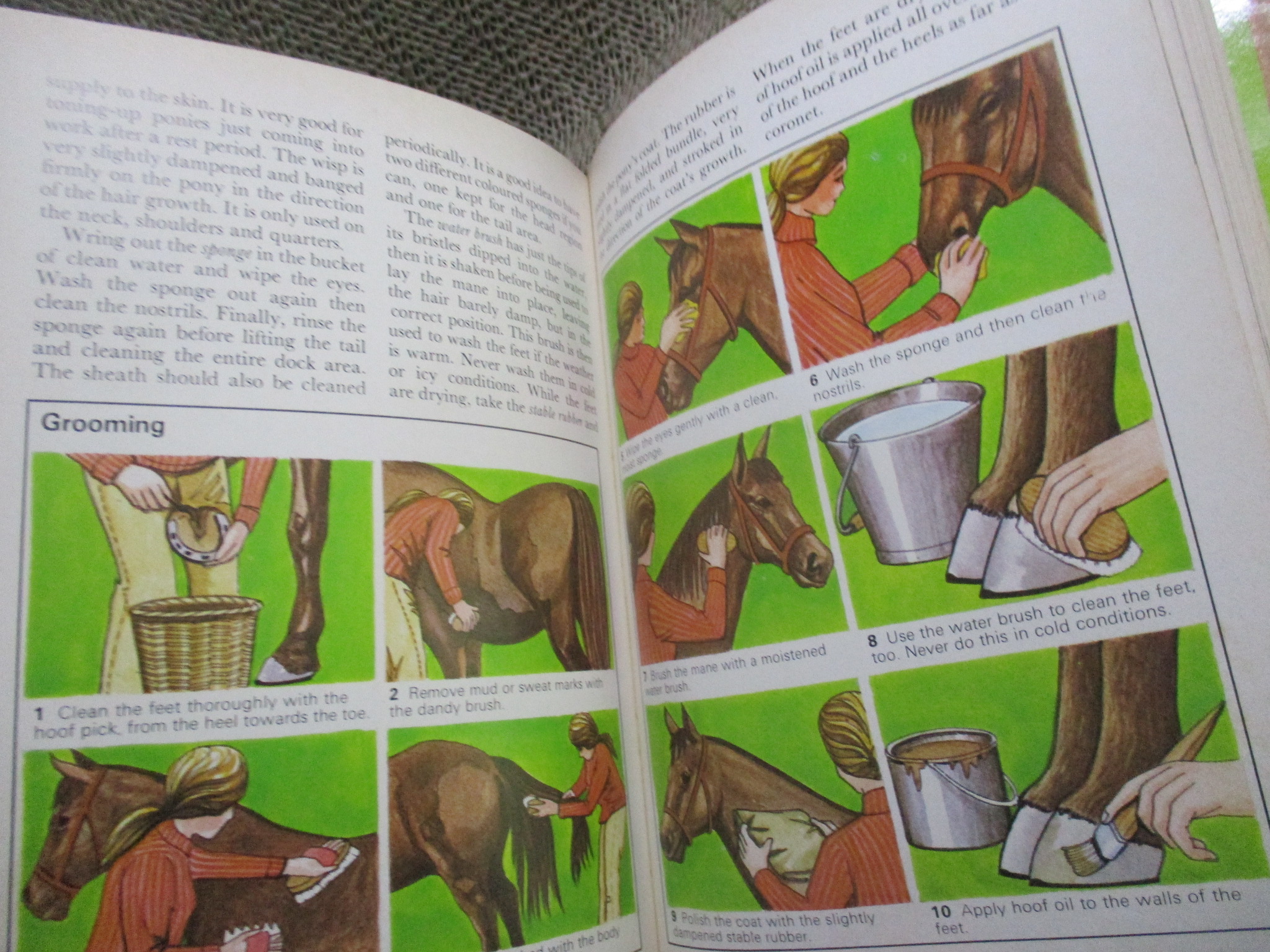 The Young Riders Handbook by Angela Sayer (Hardcover) / HAMLYN