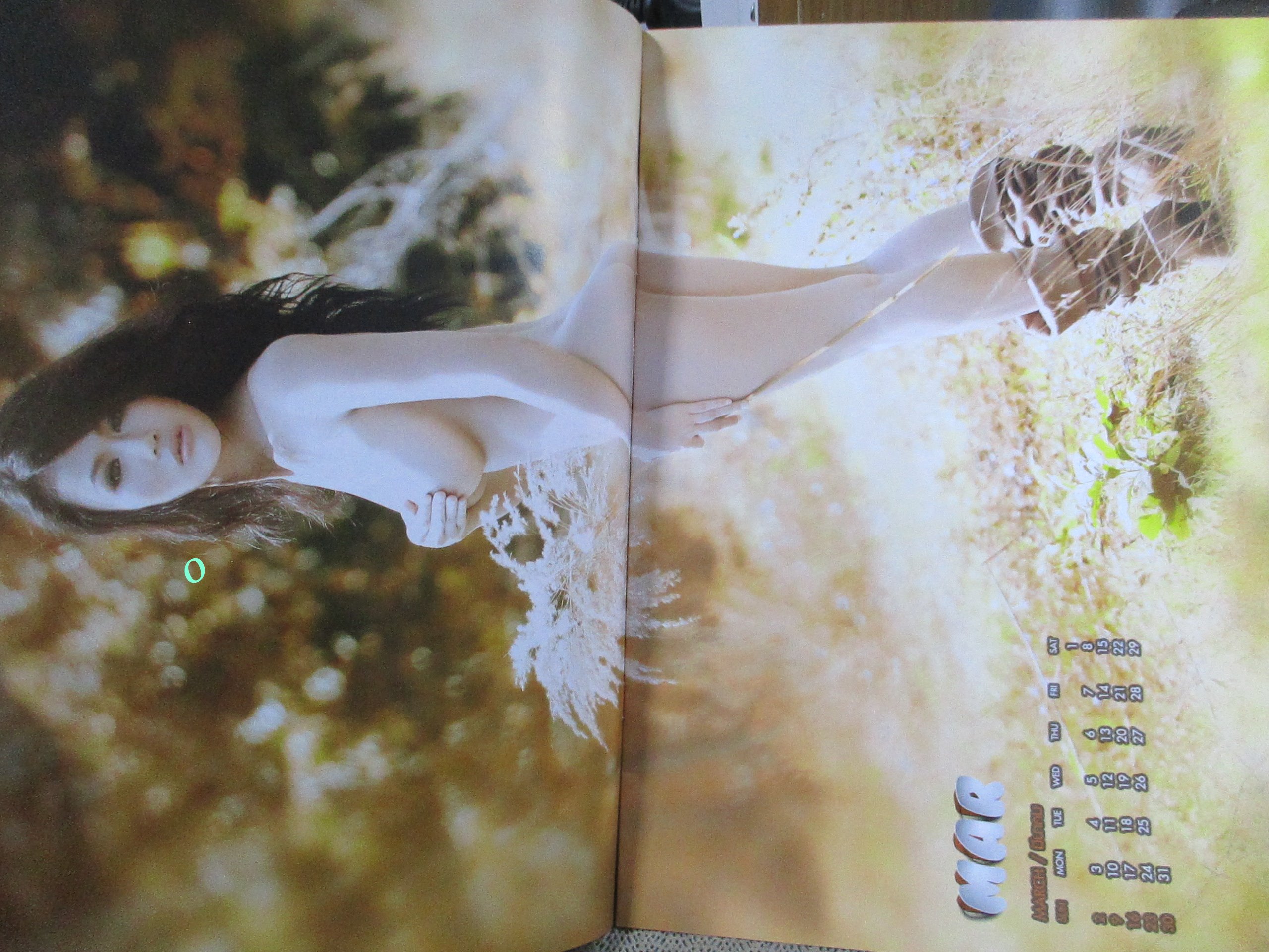 นิตยสาร W MAGAZINE CALENDAR 2014 12เดือน 24 แผ่น