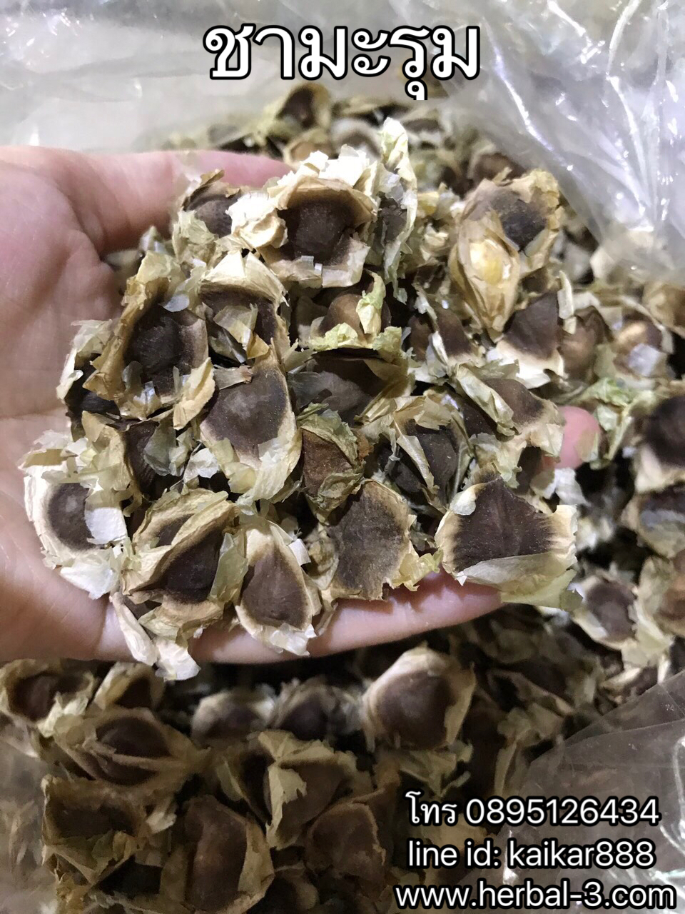 ชามะรุมอบแห้ง (กิโล)