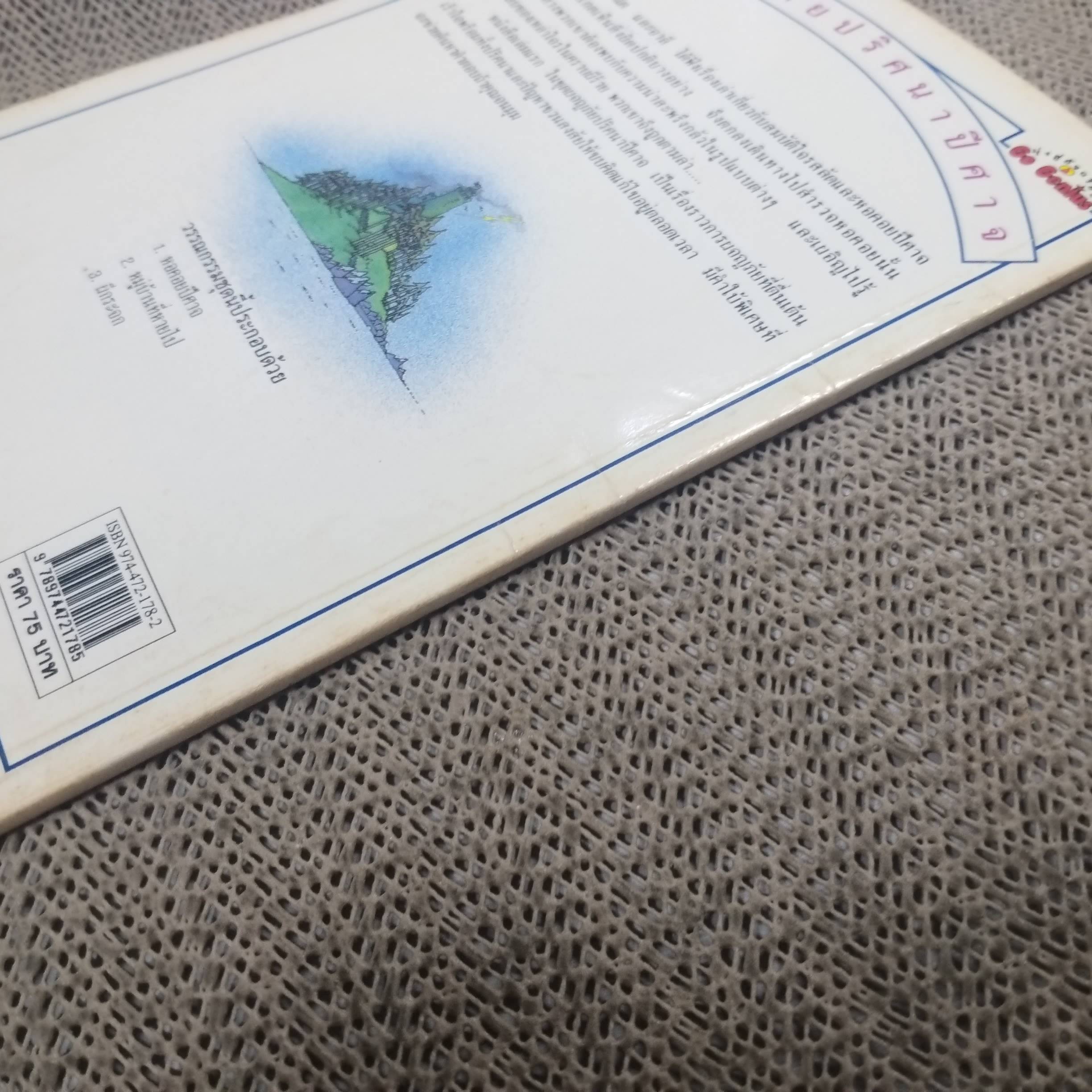 ผจญภัยปริศนาปีศาจ หอคอยปีศาจ เขียนโดย ซูซานน่าห์ เลย์