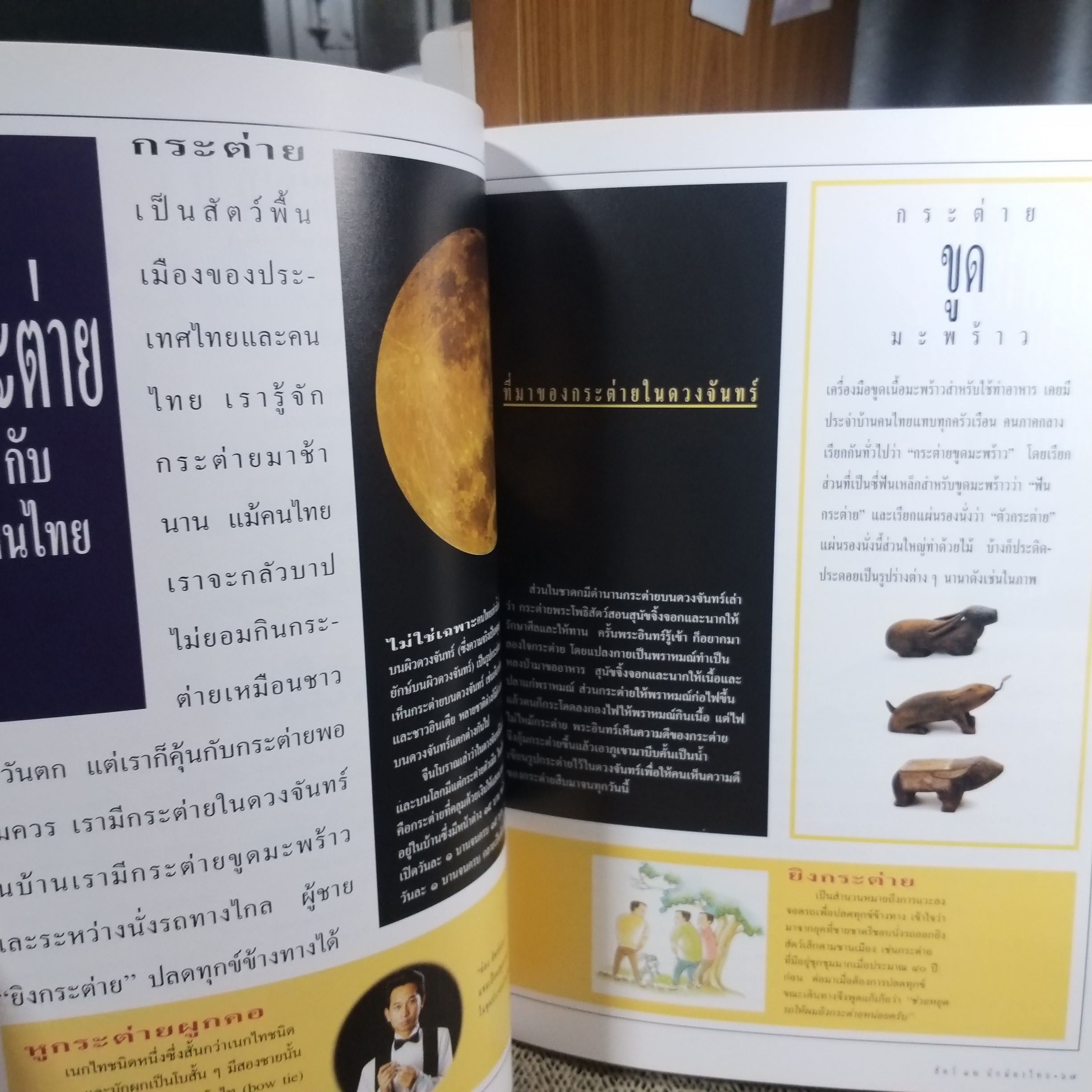 สัตว์ 12 นักษัตรไทย. หนังสือภาพความรู้จัดทำโดยทีมงานนิตยสาร "สารคดี" สภาพ 90 %