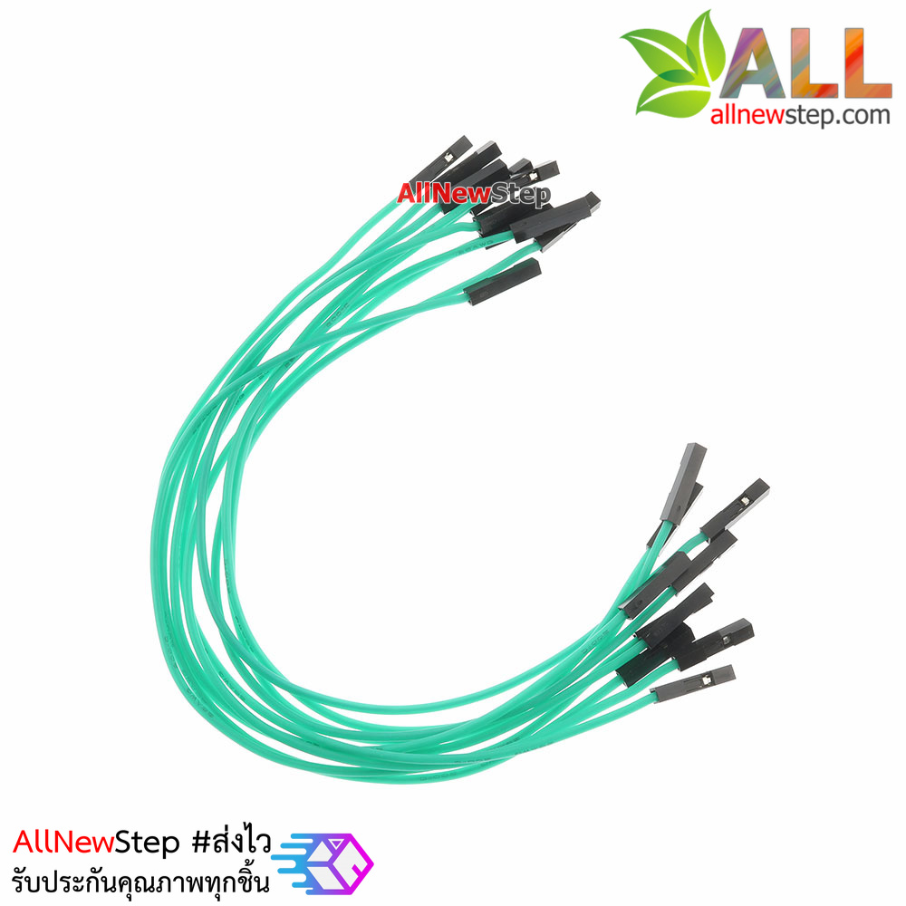 สายไฟจัมเปอร์ 20cm สาย jumper 20 cm จำนวน 10 เส้น เมีย-เมีย สีเขียว