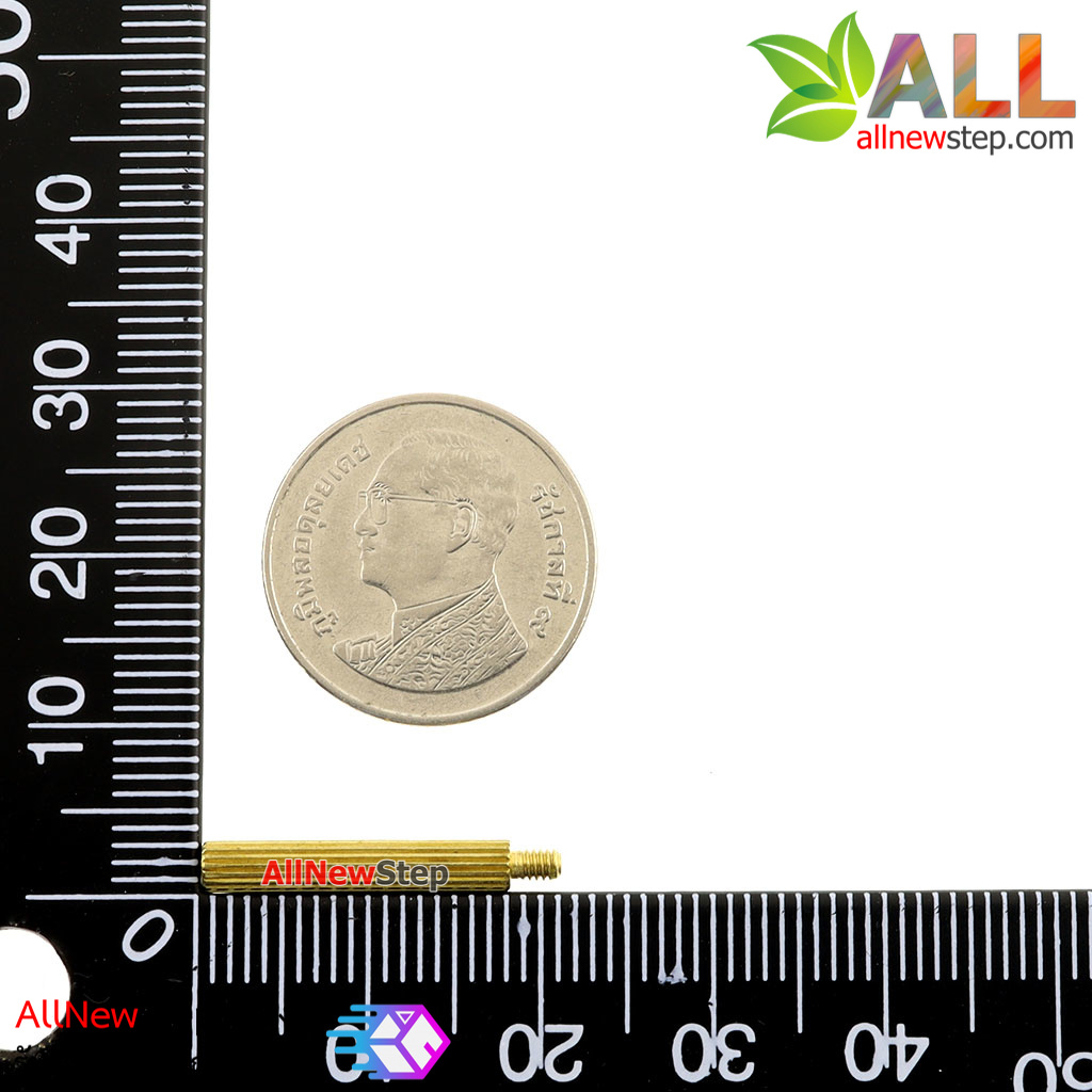 น็อตทองเหลือง NUT M2 ขนาด 18+3mm