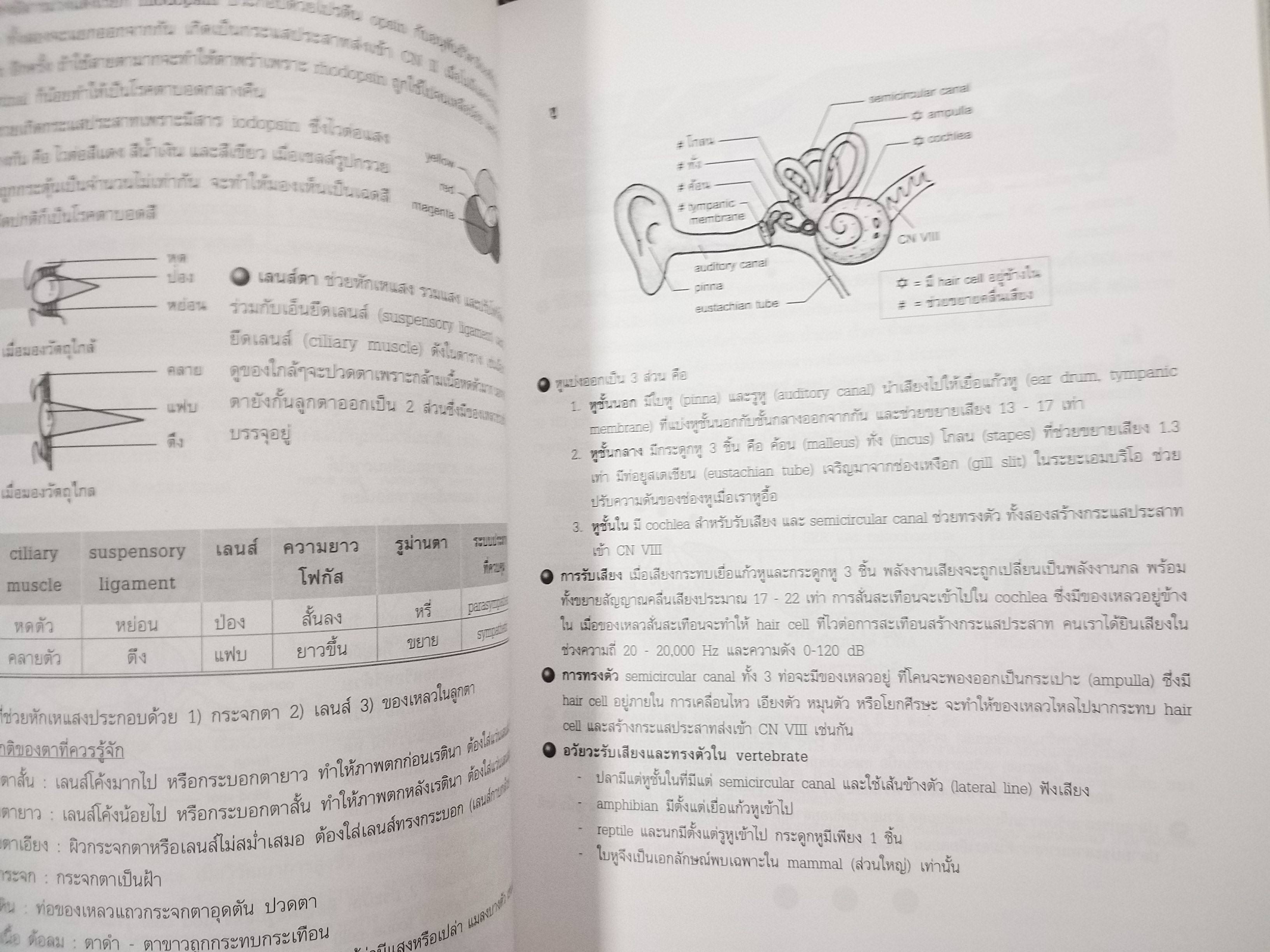 ชีววิทยา Biology for high school students / จิรัสย์ เจนพาณิชย์