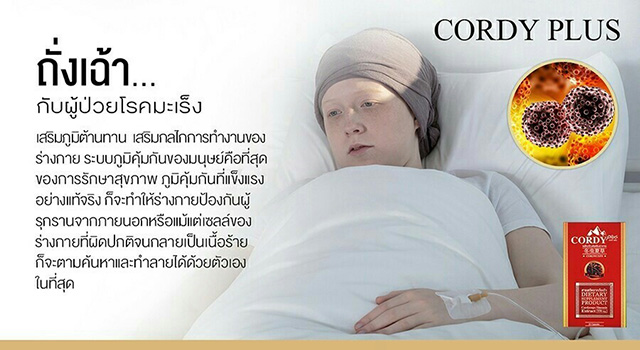 Cordy Plus คอร์ดี้พลัส ถั่งเฉ้าทิเบต อ.วิโรจน์