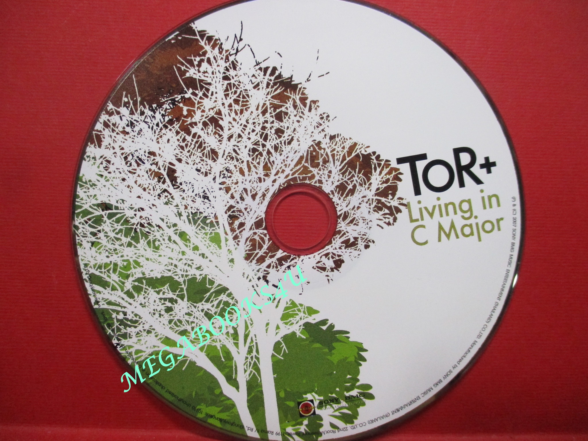 ซีดีเพลงไทยสากล โต๋ ศักดิ์สิทธิ์ อัลบั้ม Living in C Major // ปก และ แผ่นมีรอยเล็กน้อย