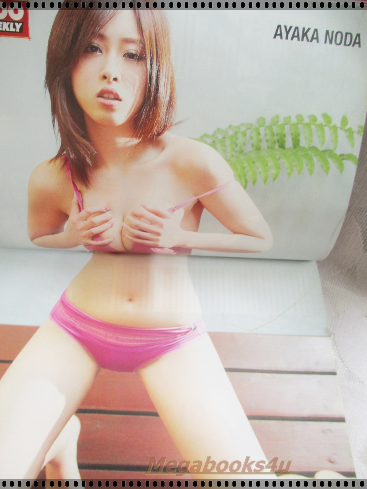 นิตยสารZOO ฉบับ253 ปี2556 ปก อายากะ โนดะ