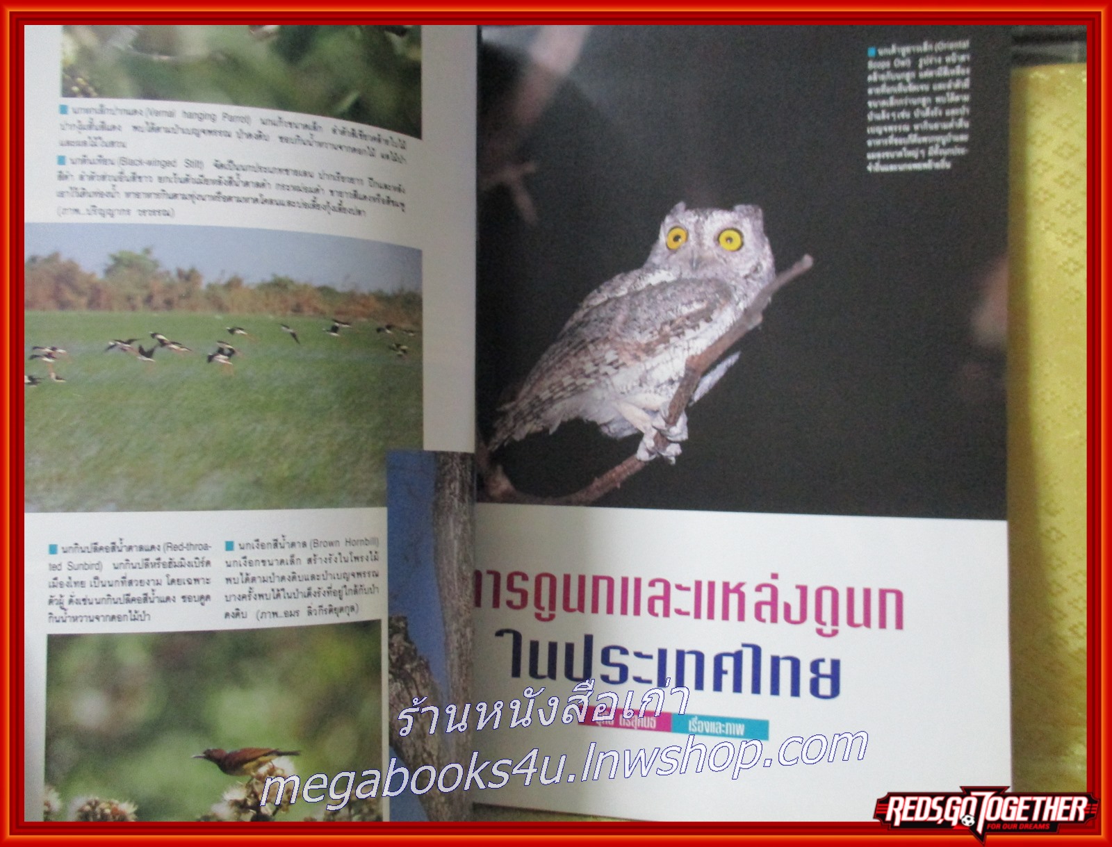 นิตยสาร อ.ส.ท. ปีที่35 ฉบับที่02 ก.ย. 2537 ฉบับ ล่องเรือแคนู ภูกระดึง ดูนก