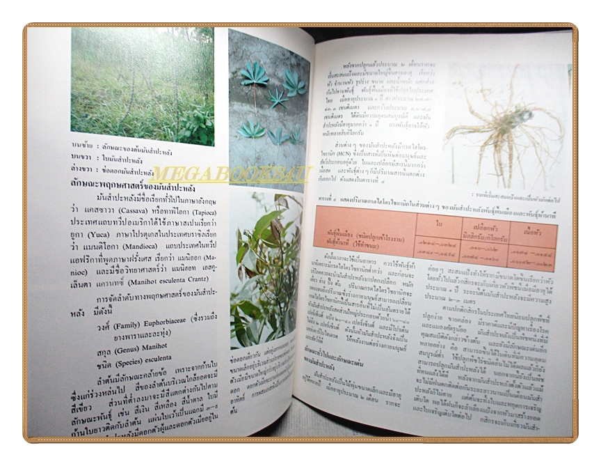 สารานุกรมไทยสำหรับเยาวชน เล่ม05 โดยพระราชประสงค์ในพระบาทสมเด็จพระเจ้าอยู่หัว