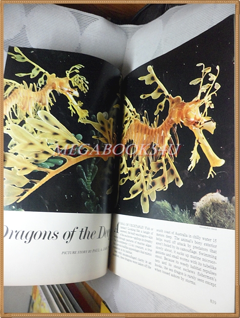 นิตยสาร เนชั่นแนลจีโอกราฟิก,National Geographic, VOL.153,NO.06 JUN.1978