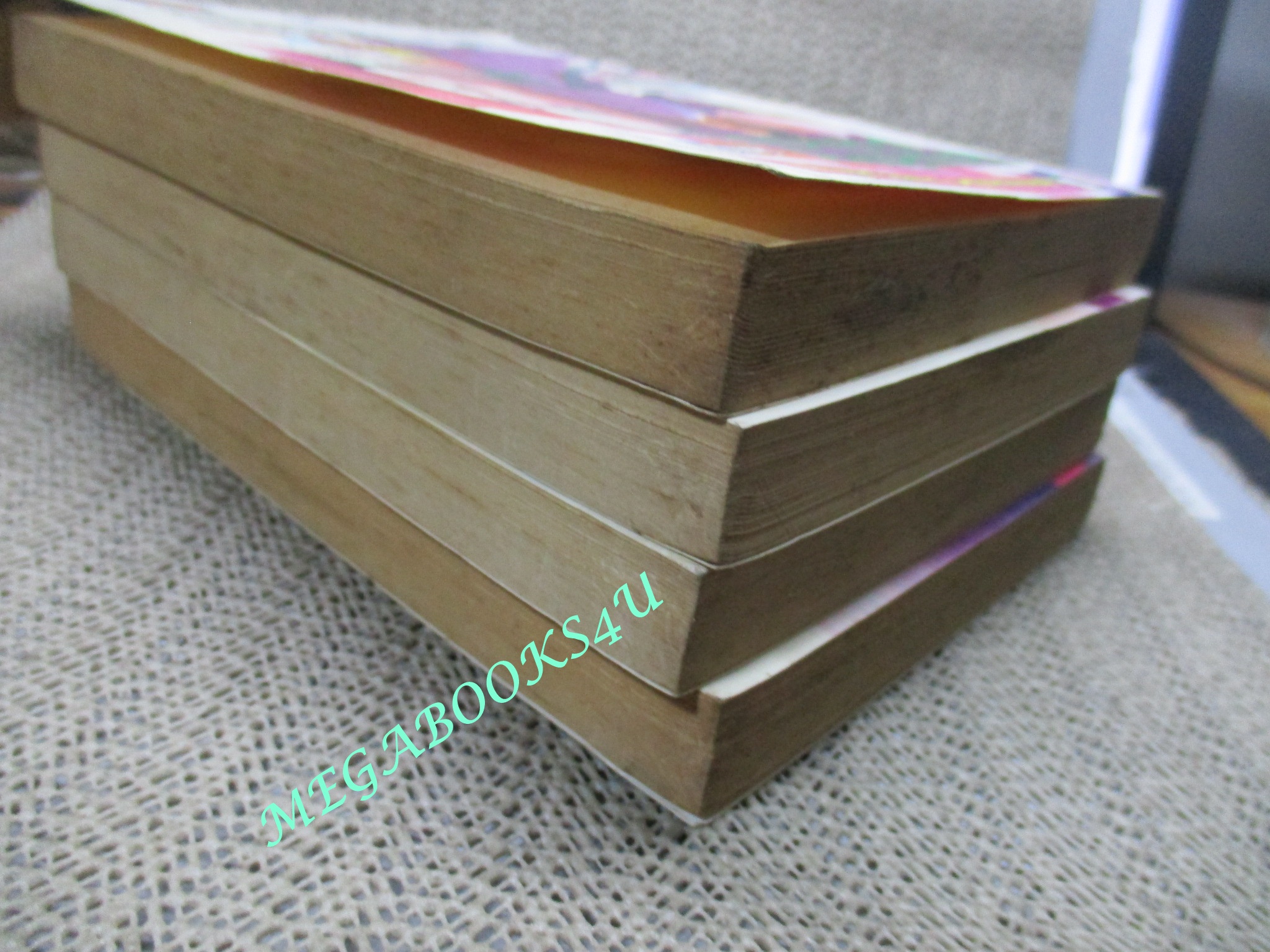 จอมเสเพลชายแดน ครบชุด4เล่มจบ / น.นพรัตน์ / สนพ.สยามฯ (นิยายจีนกำลังภายใน) สภาพดี มีฝุ่นเกาะตามสันกระดาษประปราย