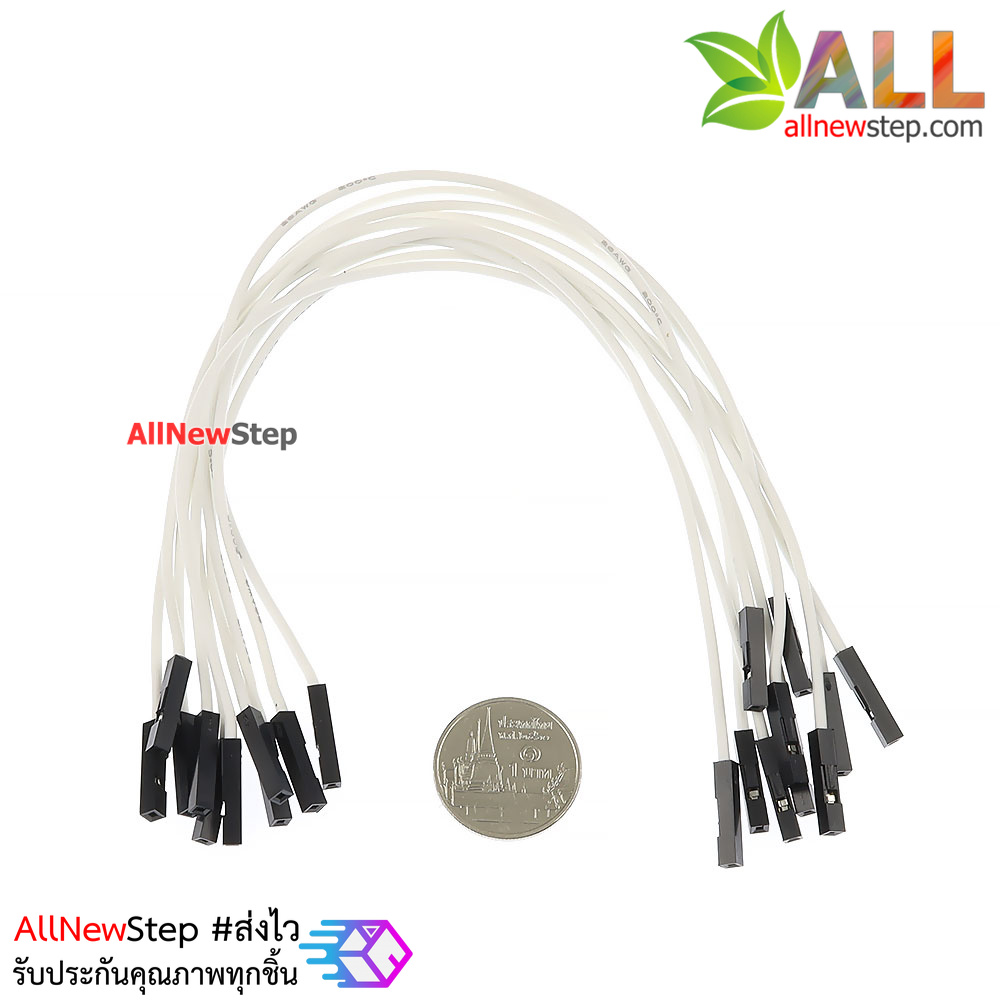 สายไฟจัมเปอร์ 20cm สาย jumper 20 cm สีขาว เมีย-เมีย จำนวน 10 เส้น