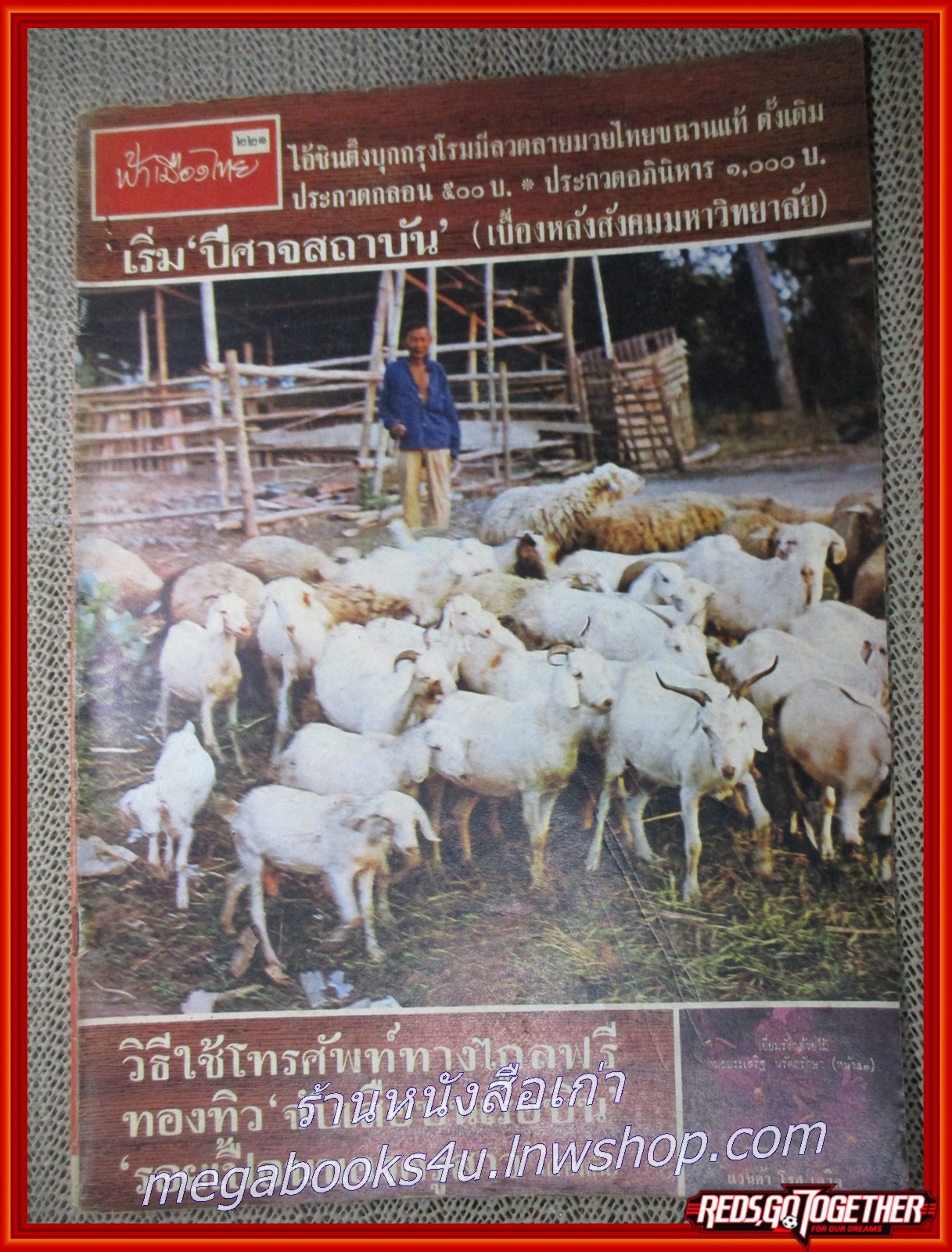 นิตยสารฟ้าเมืองไทย ฉบับ221 ปี2516 ปก ฟาร์ม แพะ แกะ มีงานเขียนของ รงค์ วงษ์สวรรค์