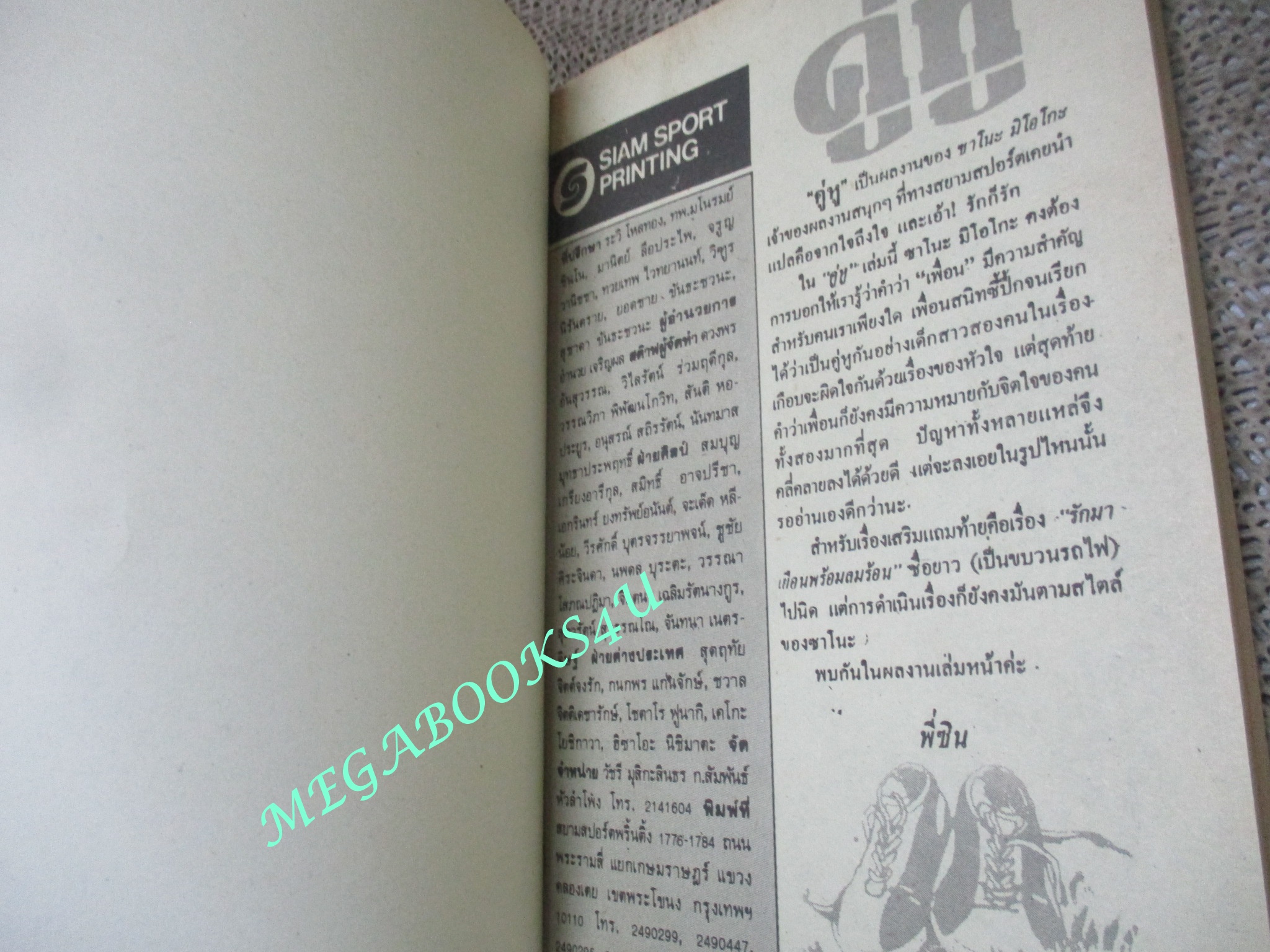 การ์ตูนบ้าน คู่หู / SANO MIOKO / เล่มเดียวจบ / สยามฯ /