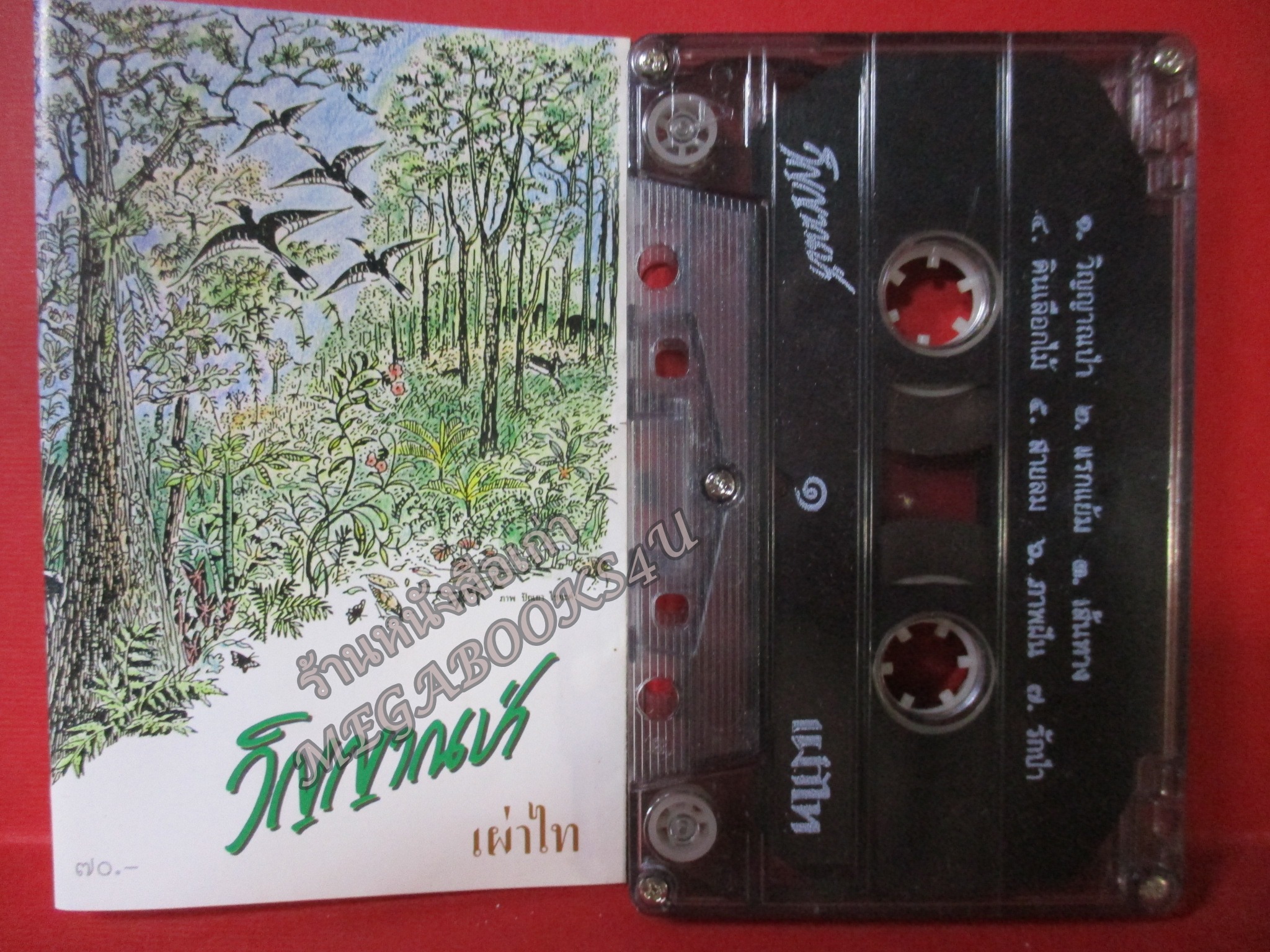 เทปเพลงไทยสากล เผ่าไท อัลบั้ม วิญญาณป่า (สุรชัย ท้วมสมบูรณ์ เพื่อนร่วมรุ่นวนศาสตร์ของคุณสืบ แต่งให้คุณสืบ นาคะเสถียร)