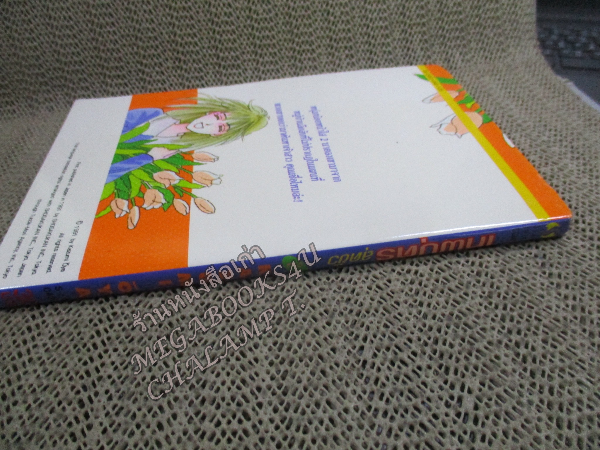 เทพบุตรสุดขั้ว / KAZUMI OYA / ครบชุด 5 เล่มจบ สนพ.สยามฯ