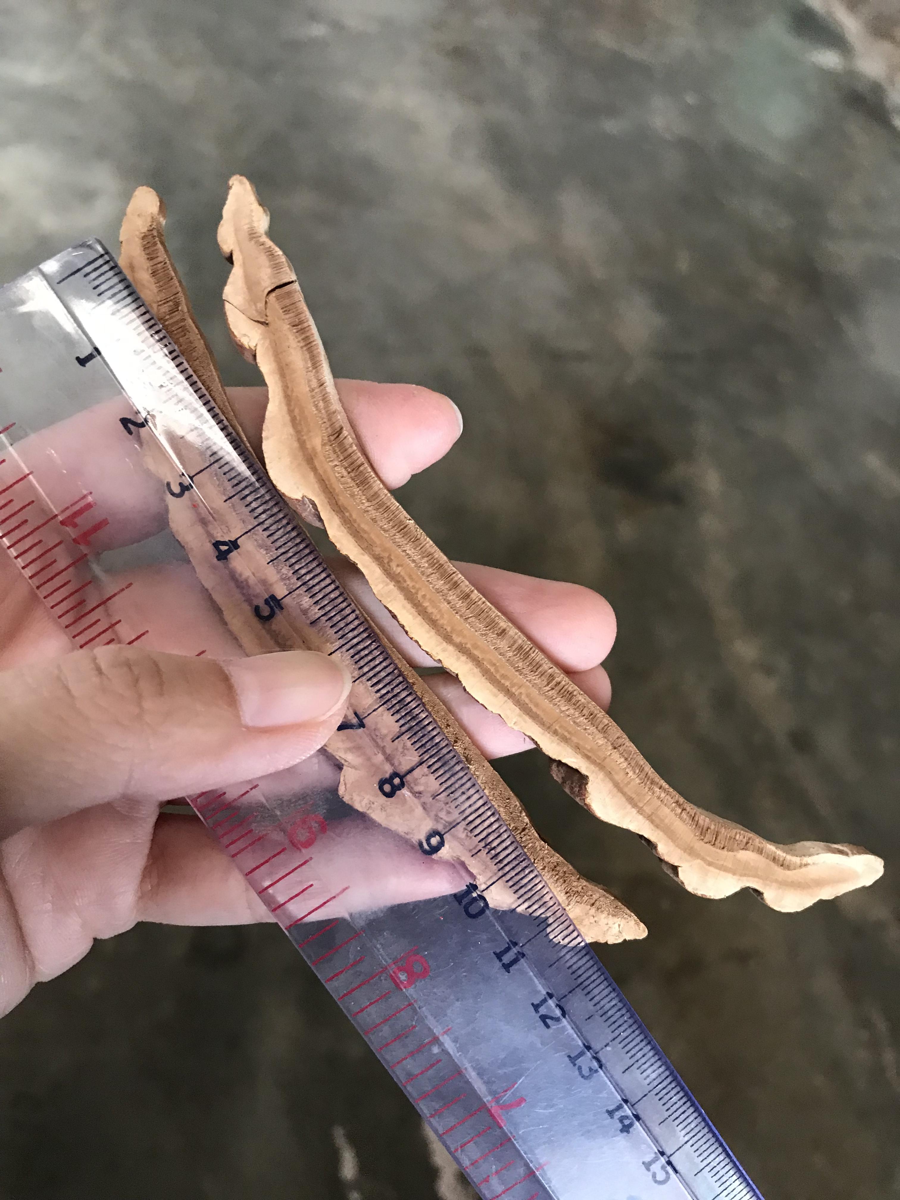 เห็ดหลินจือแดง คัดพิเศษเกรดA (ชิ้นบาง+หั่นยาว)
