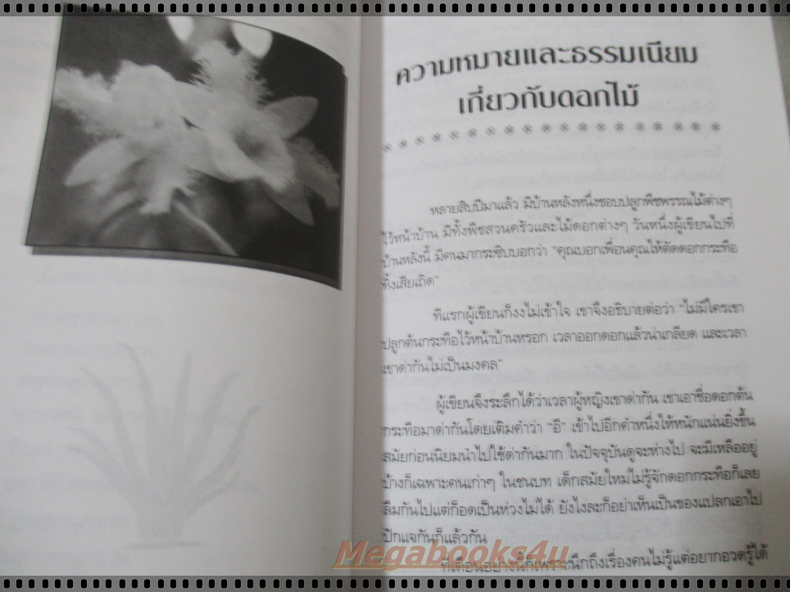 พืชพรรณไม้มงคล โดย ส.พลายน้อย