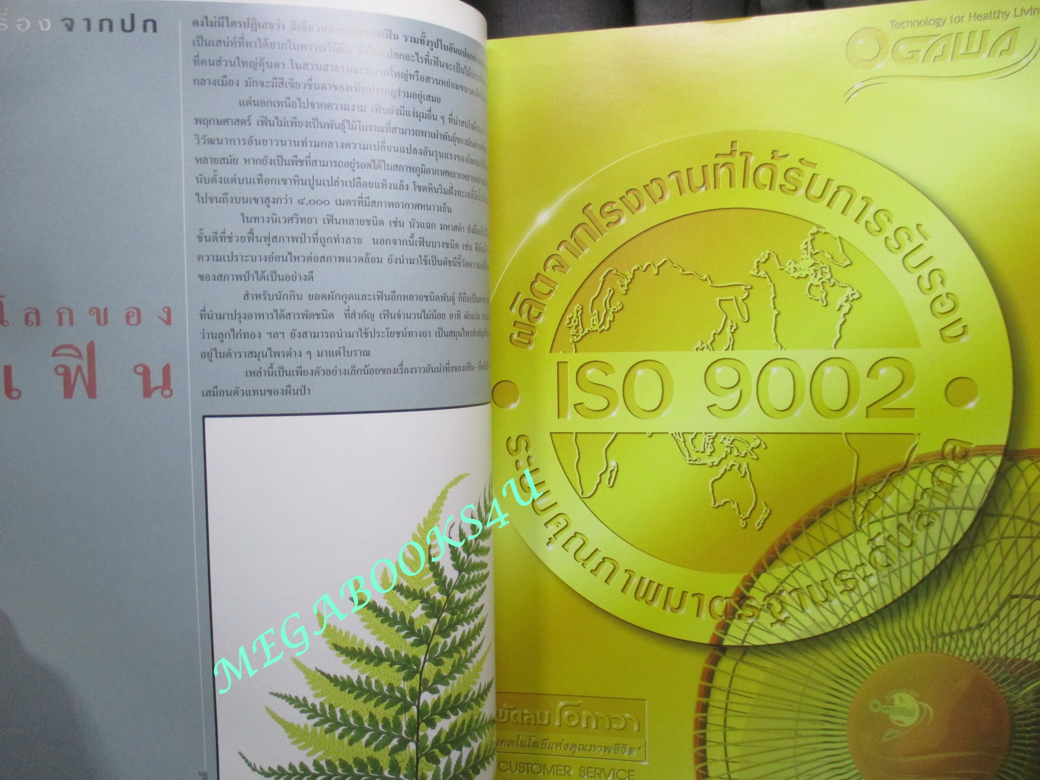 นิตยสารสารคดี ฉบับที่194 เมษายน 2544 เฟิน,ชนกว่าง,สำรับแขกคลองบางหลวง
