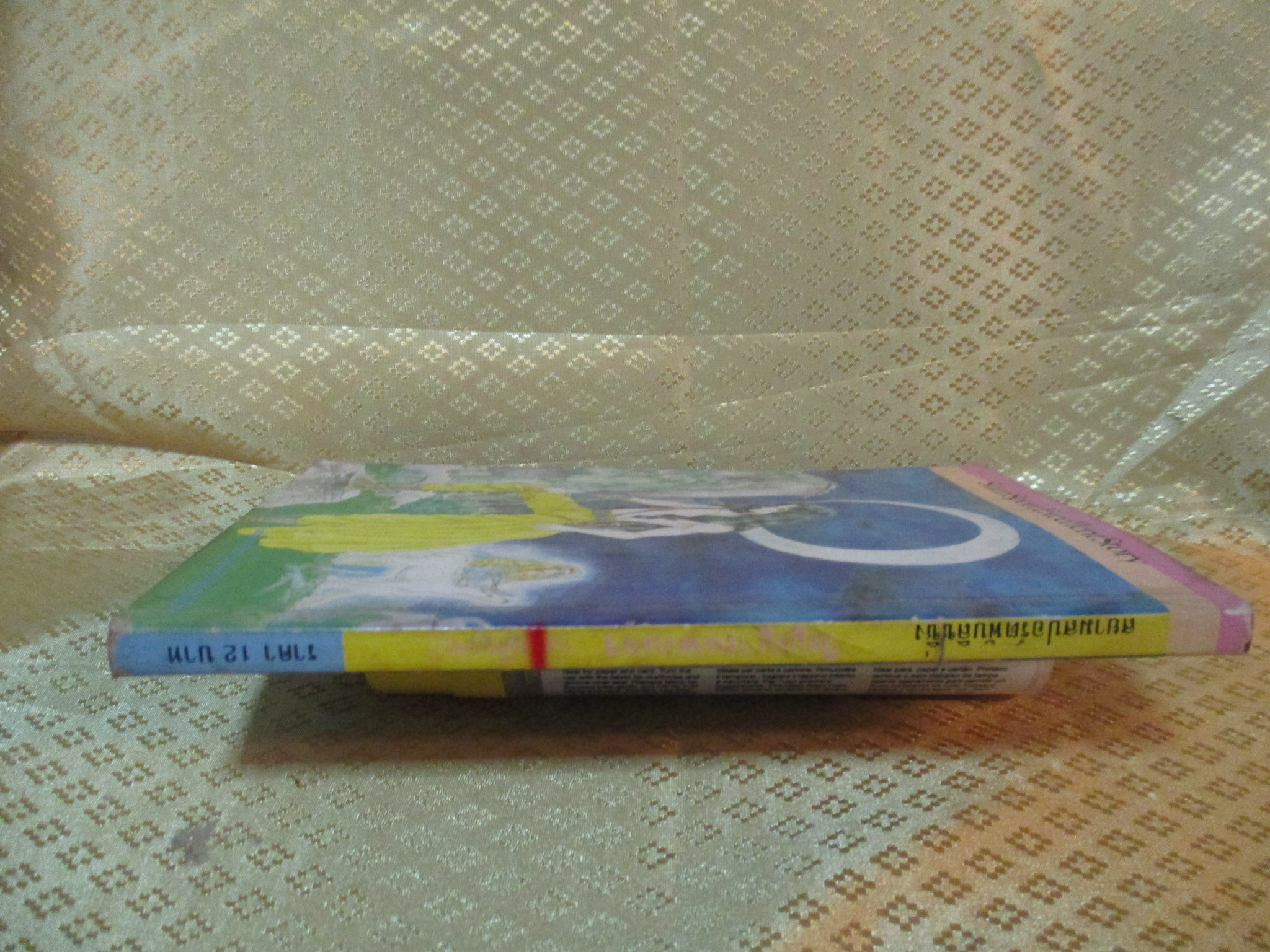 การ์ตูน วิญญาณพเนจร โดย RYOKO YAMAGISHI เล่มเดียวจบ