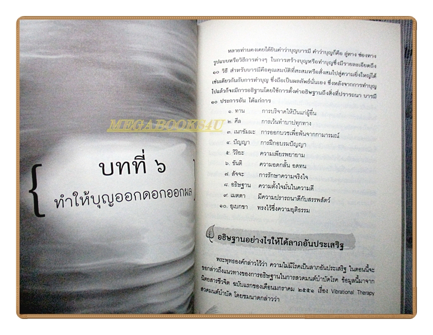 ธรรมะชนะทุกข์ พิชิตความสุข สร้างความสำเร็จและก้าวหน้า โดย สมชาติ กิจยรรยง