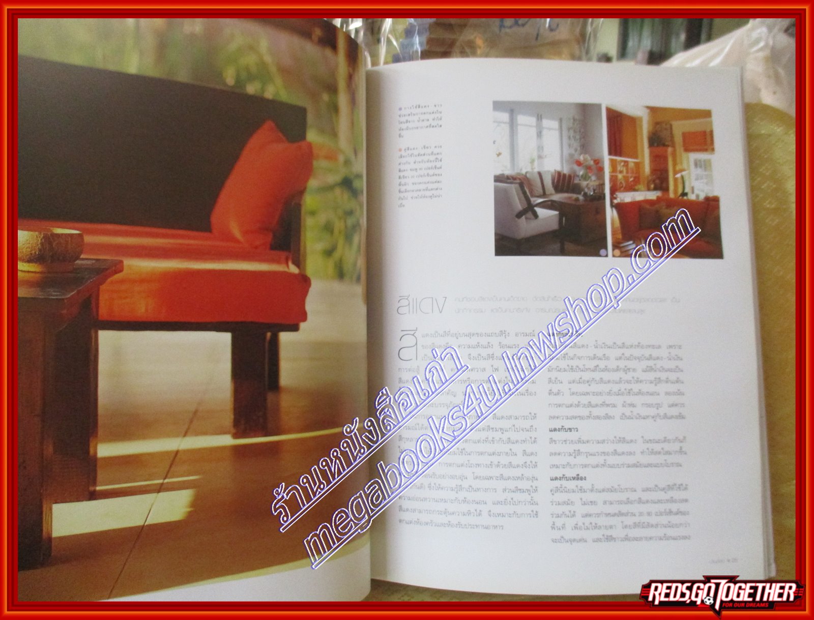 คู่มือการจัดและตกแต่งบ้านสีสด