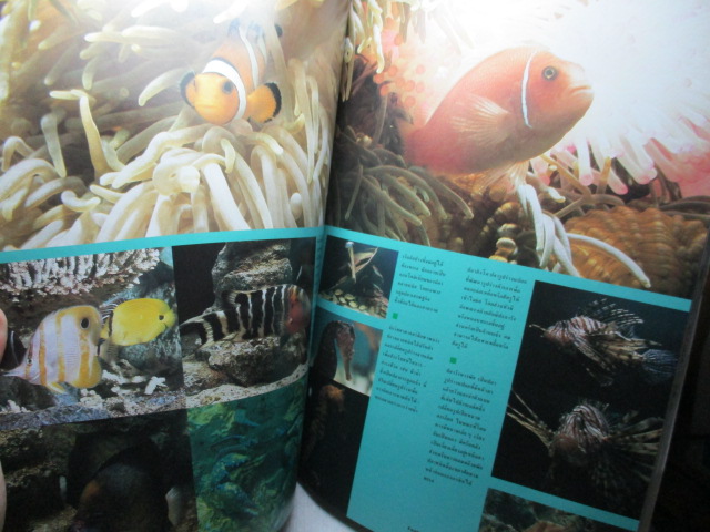 นิตยสารสารคดี ฉบับที่019 ปีที่02 2529 ไหมไทย,พิพิธภัณฑ์สัตว์น้ำ,ดิ่งพสุธา,พวงร้อย อภัยวงศ์