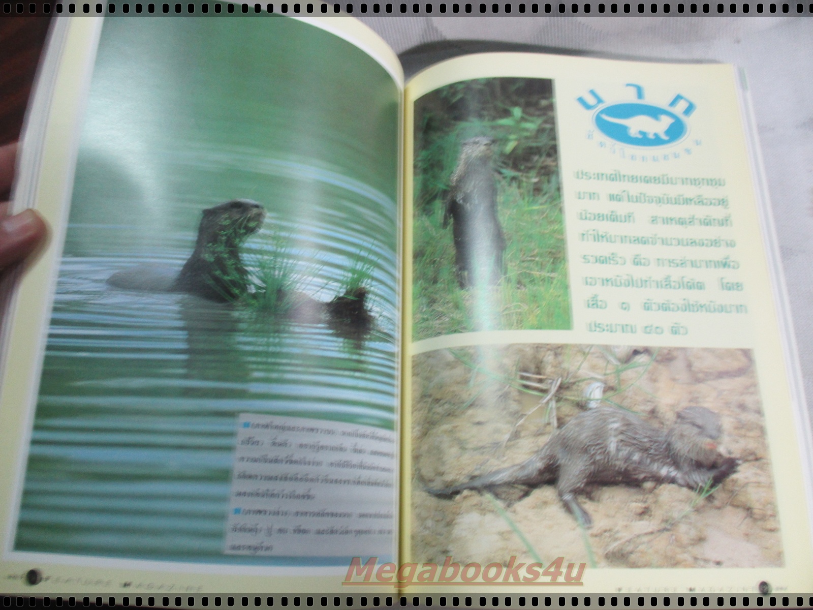 นิตยสารสารคดี ฉบับที่092 ปี2535 นากสัตว์โลกแสนซน,ทางลอยฟ้า,ทุ่งดอกกระเจียว,ความหลังของโดม สุขวงศ์,