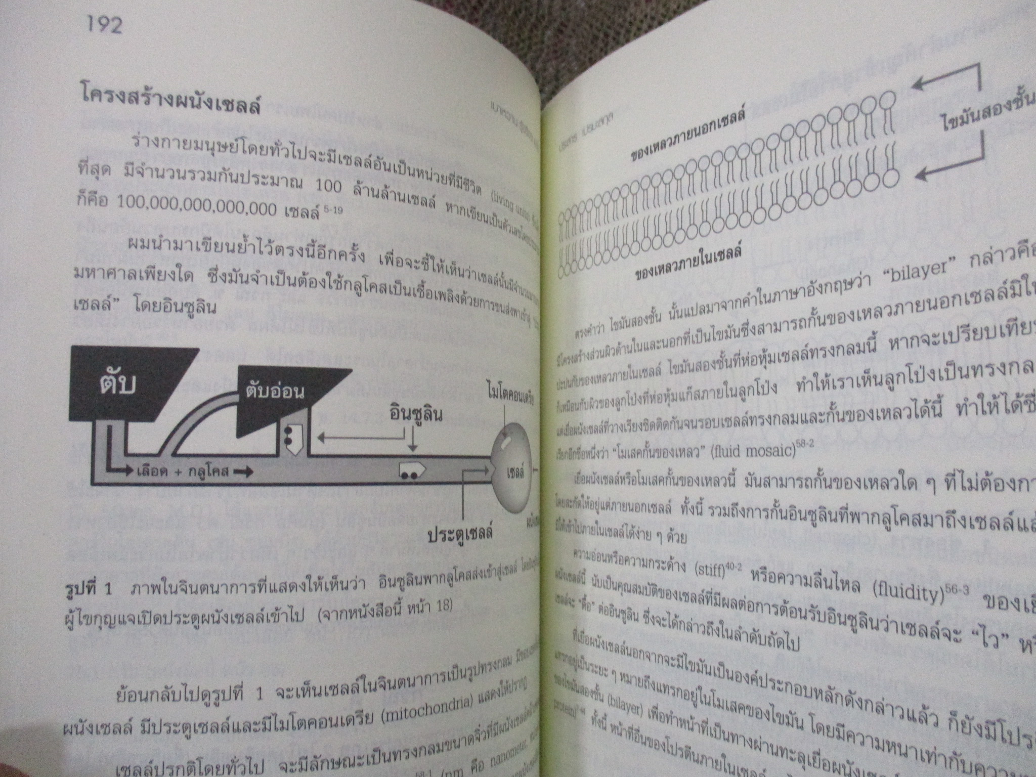 เบาหวาน รู้จริงจะ เบาใจ / พลเอก ประสาร เปรมะสกุล