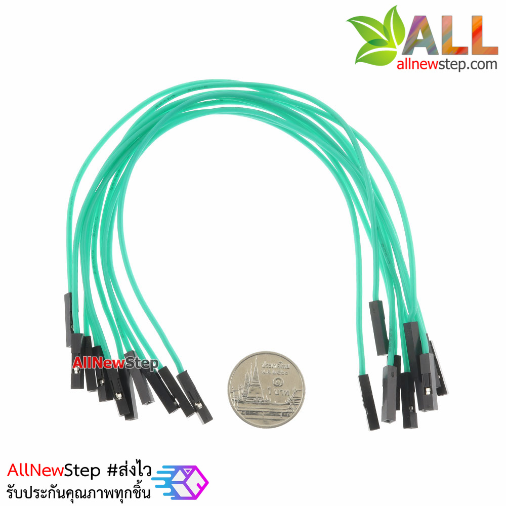 สายไฟจัมเปอร์ 20cm สาย jumper 20 cm จำนวน 10 เส้น เมีย-เมีย สีเขียว