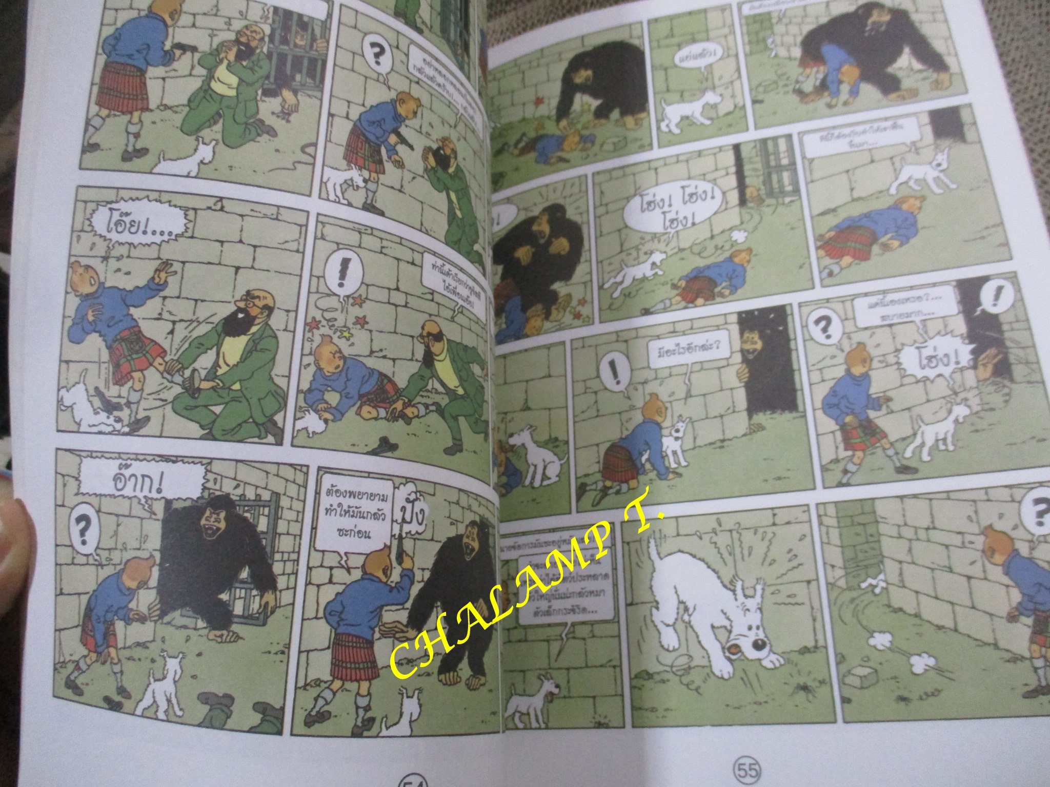 หนังสือ การผจญภัยของตินติน ตอน มหันตภัยเกาะดำ / ตำหนิ มีเขียนชื่อที่ปกหน้าด้านในตามภาพ