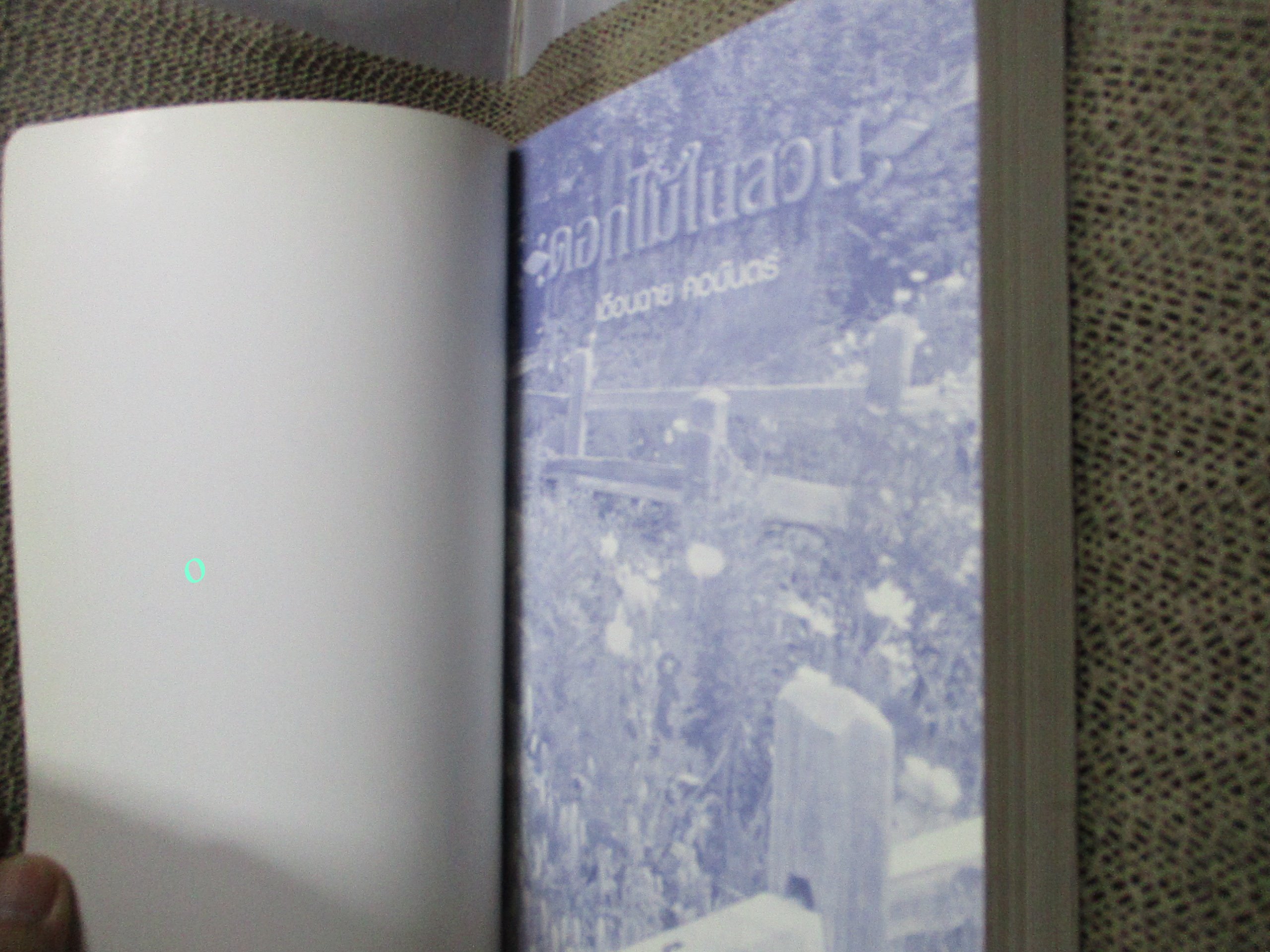 ดอกไม้ในสวน / เดือนฉาย คอมันตร์ / เป็นสารคดีอัตชีวประวัติของ เดือนฉาย คอมันตร์ เป็นงานเขียนที่ผ่านการกลั่นกรองอย่างรอบคอบ ด้วยประสบการณ์และ มุมมองอันลุ่มลึกระหว่างชีวิต ความคิดและธรรมชาติ