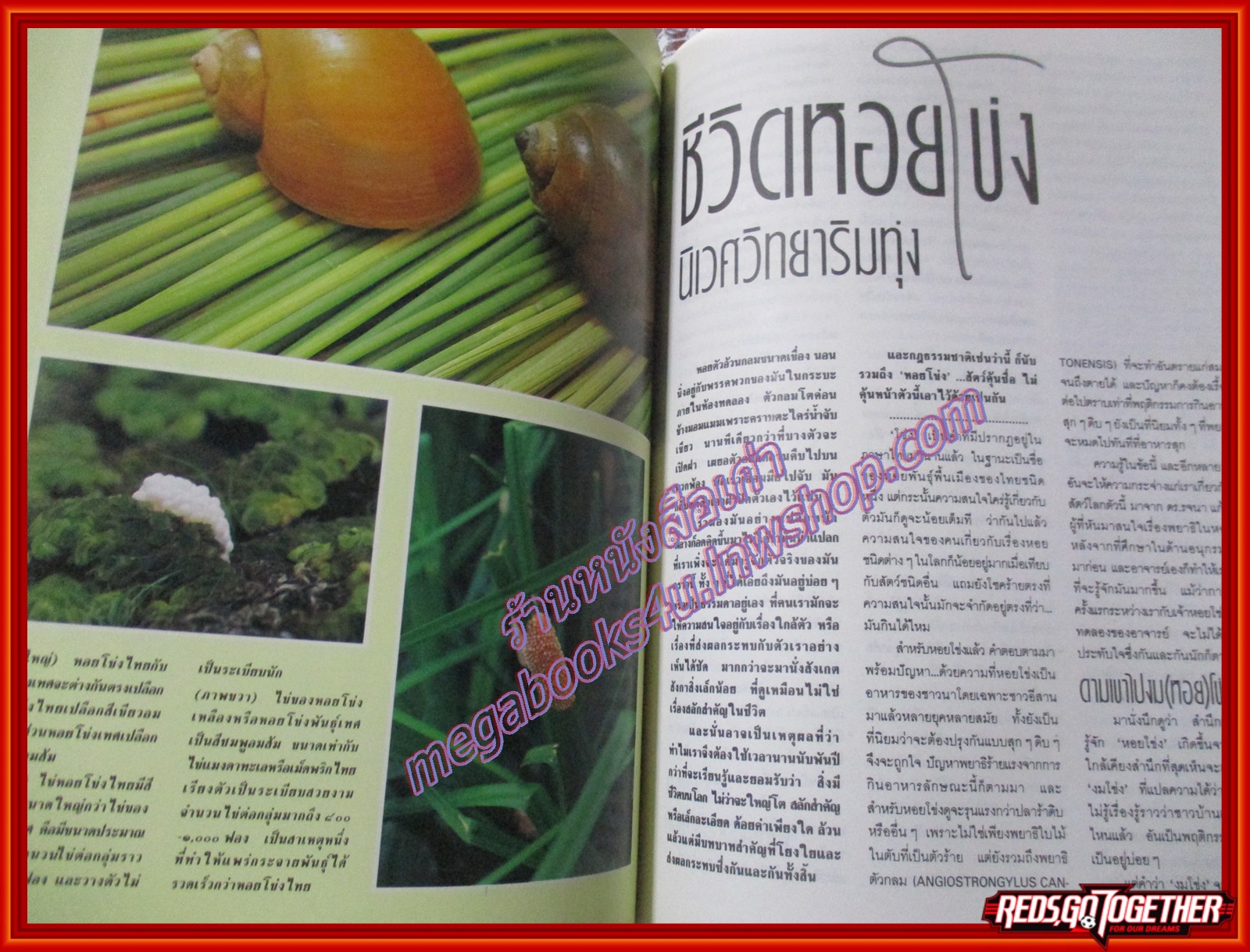 นิตยสารสารคดี ฉบับที่068 2533 สืบ นาคะเสถียร หอยโข่ง สุพรรณบุรี