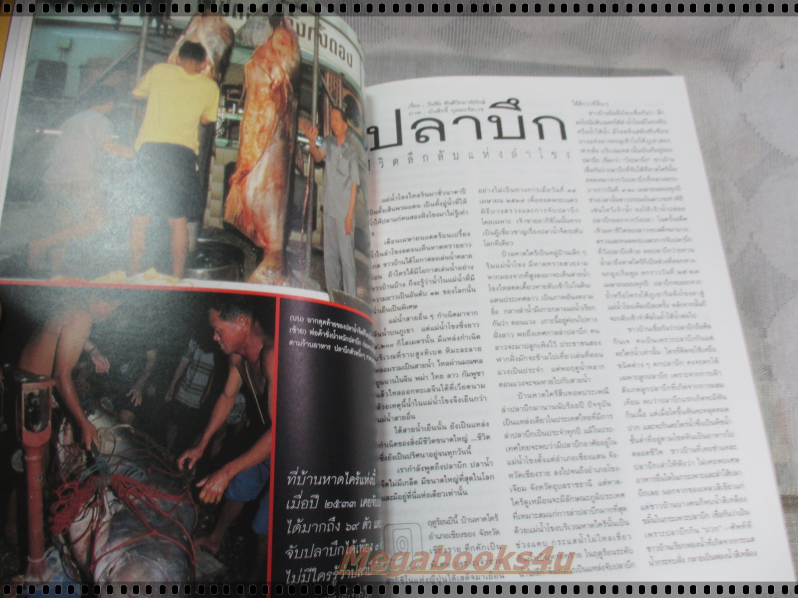 นิตยสารสารคดี ฉบับที่139 กันยายน 2539 ปีที่12 ปลาบึก,พรรณพืชดอยเชียงดาว,โซโกร,สมรักษ์ วีรบุรุษโอลิมปิค,