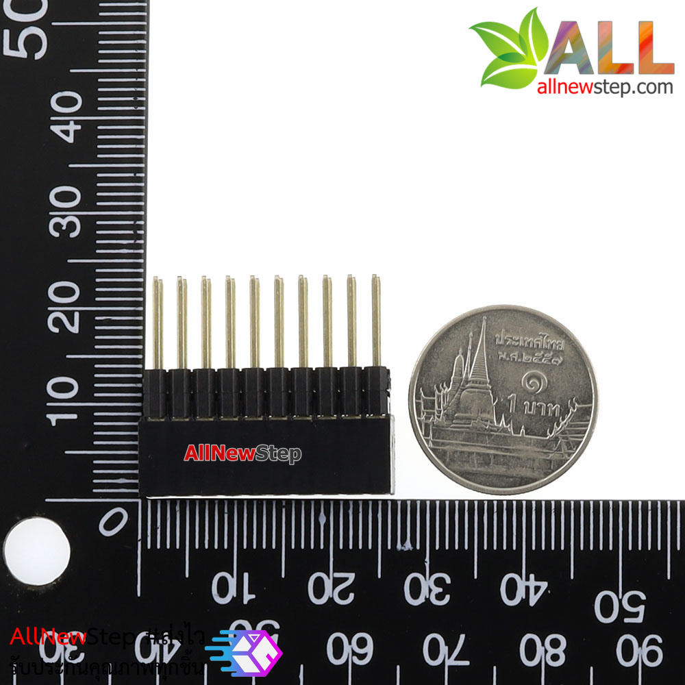 2x10 Pin 2.54mm double socket