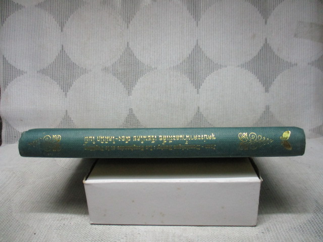 ชุดประดาน้ำและผีเสื้อ โดย ฌ็อง-โดมินิก โบบี้ (Le Scaphandre et Le papillion) สภาพดี