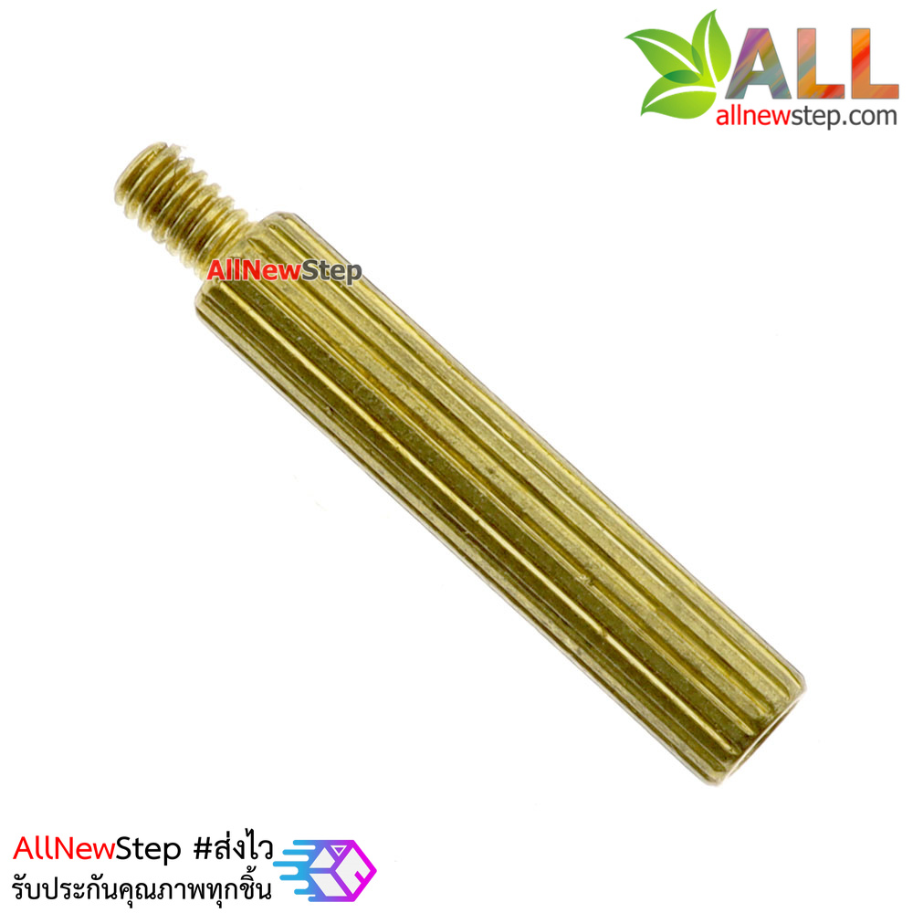 น็อตทองเหลือง NUT M2 ขนาด 15+3mm