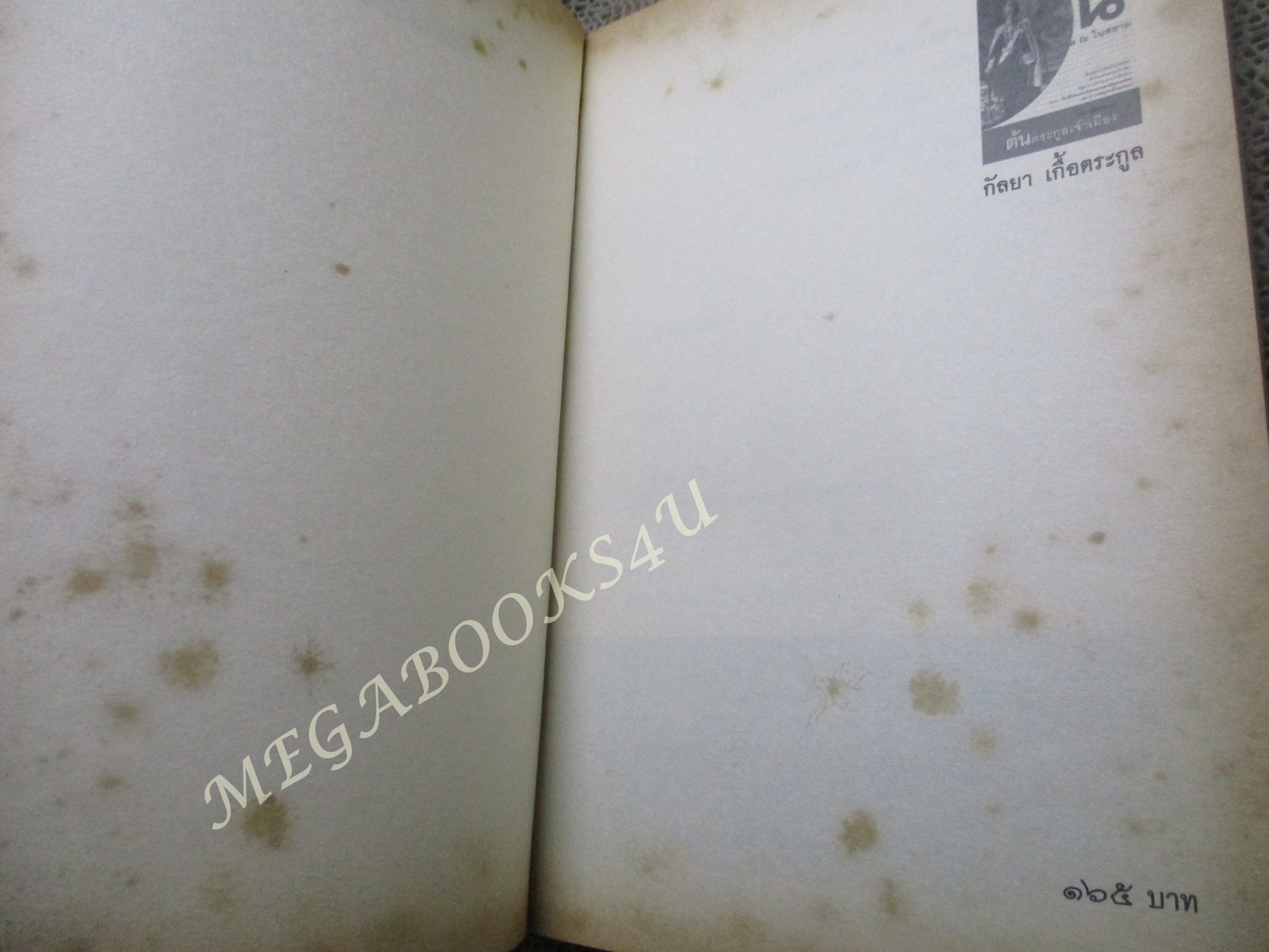 ต้นตระกูลเจ้าเมือง สายสกุล ณ ในสยาม ผู้เขียน: กัลยา เกื้อตระกูล / มีจุดเหลืองประปราย