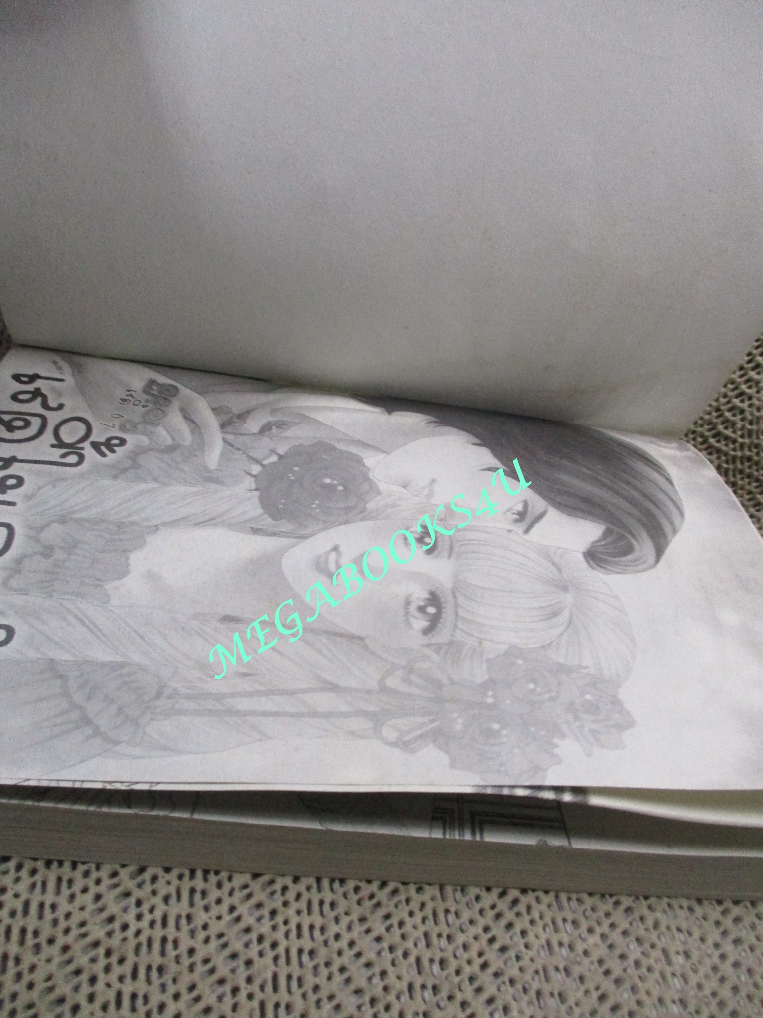 LADY เลดี้ 67 เล่มเดียวจบ หมึกจีน สภาพดี