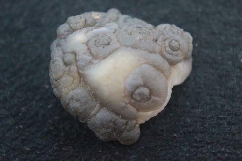 คาซีโดนี โนดูล โมร๊อกโค (Chalcedony Noduies Frome Morocco )