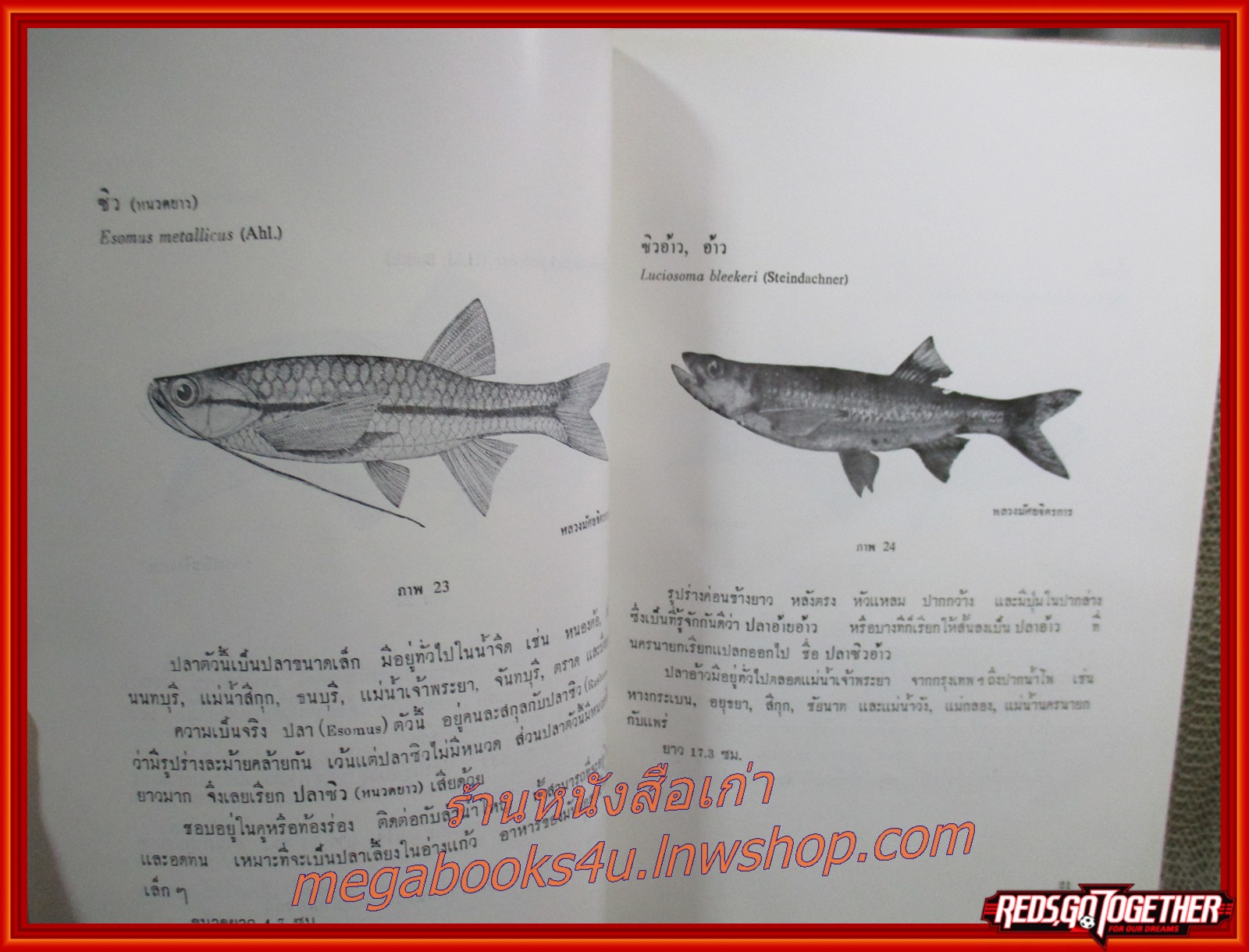 ปลาไทย อนุสรณ์งานพระราชทานเพลิงศพ หลวงมัศย์จิตรการ (ประสพ ตีระนันทน์)