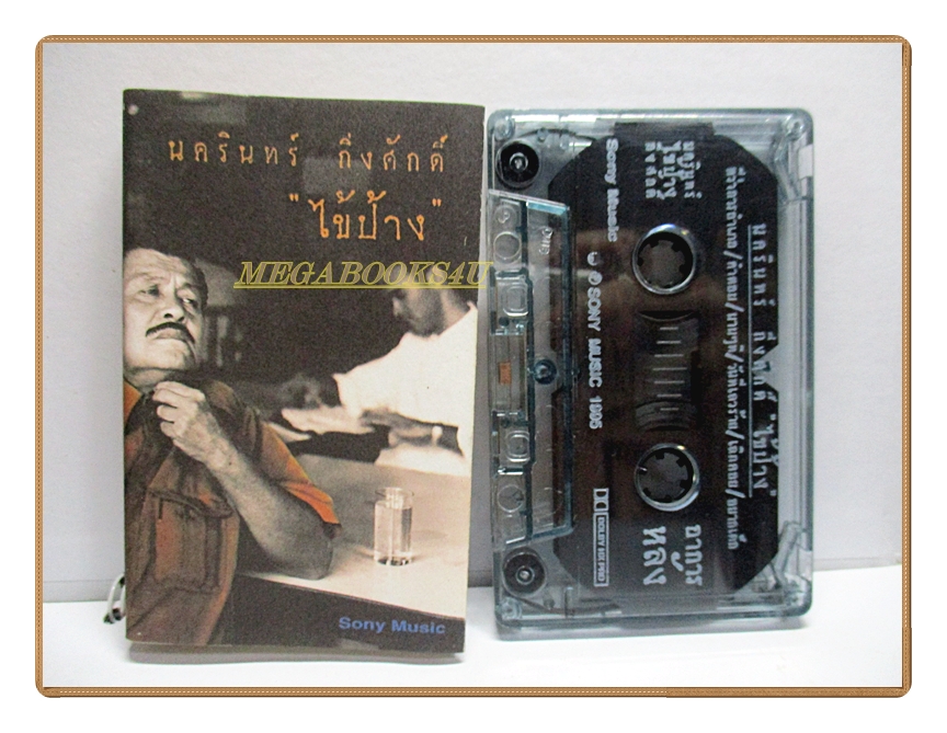 ขายเทปเพลงเก่า ป้าง นครินทร์ กิ่งศักดิ์ อัลบั้ม ไข้ป้าง